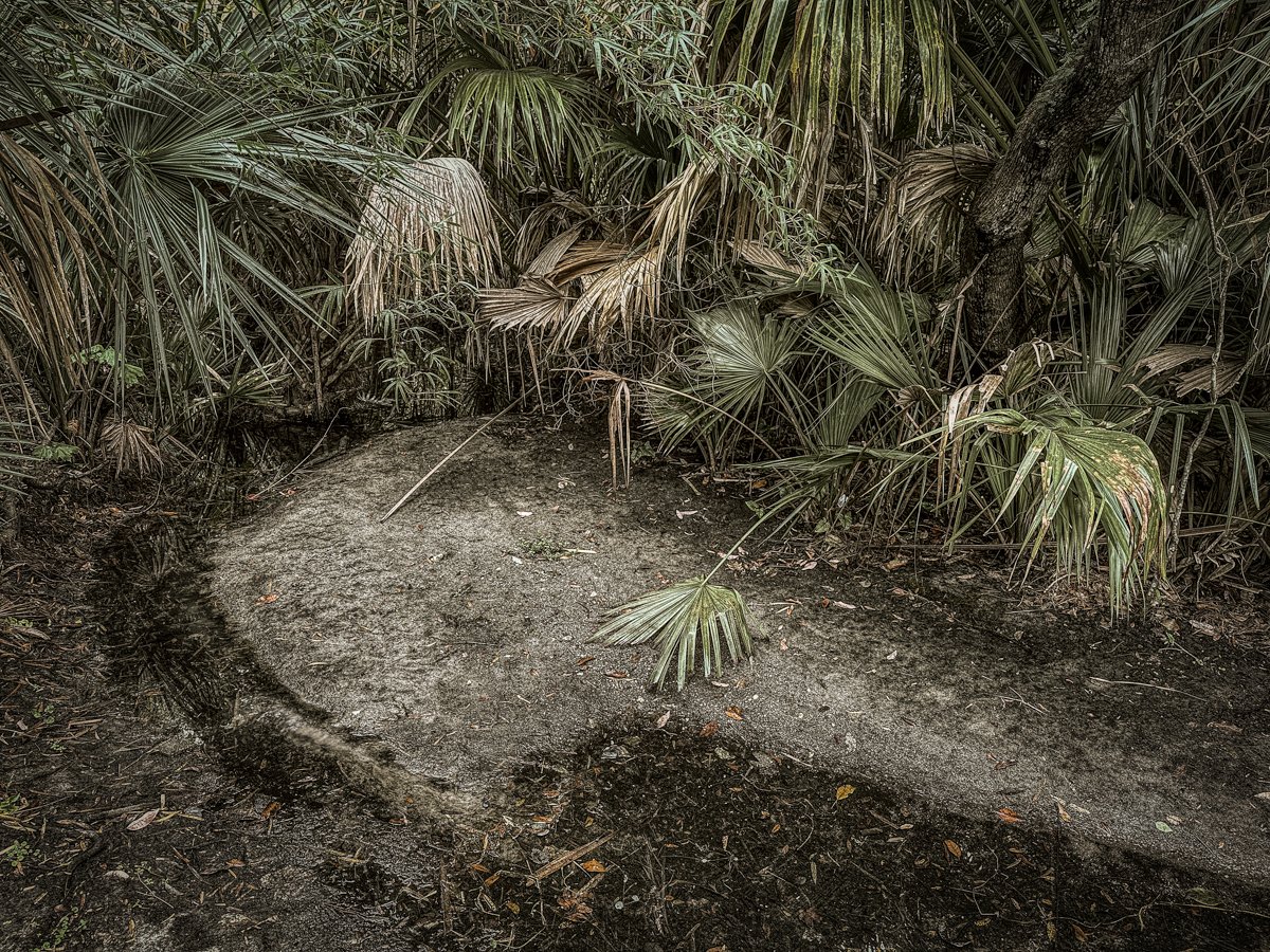 Frigid, Florida 2026-9.jpg