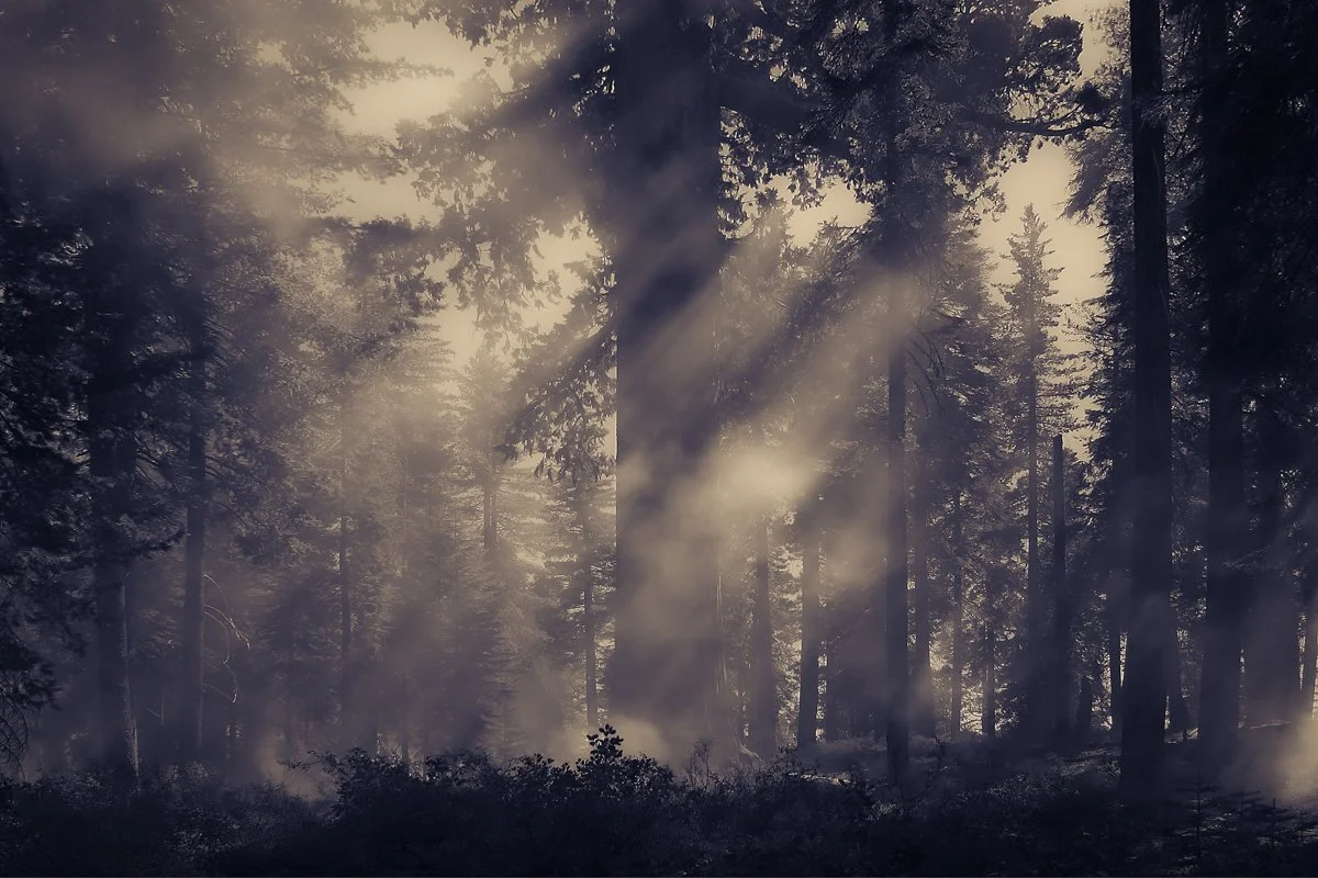 Yosemite, Smoke, 2010.jpg