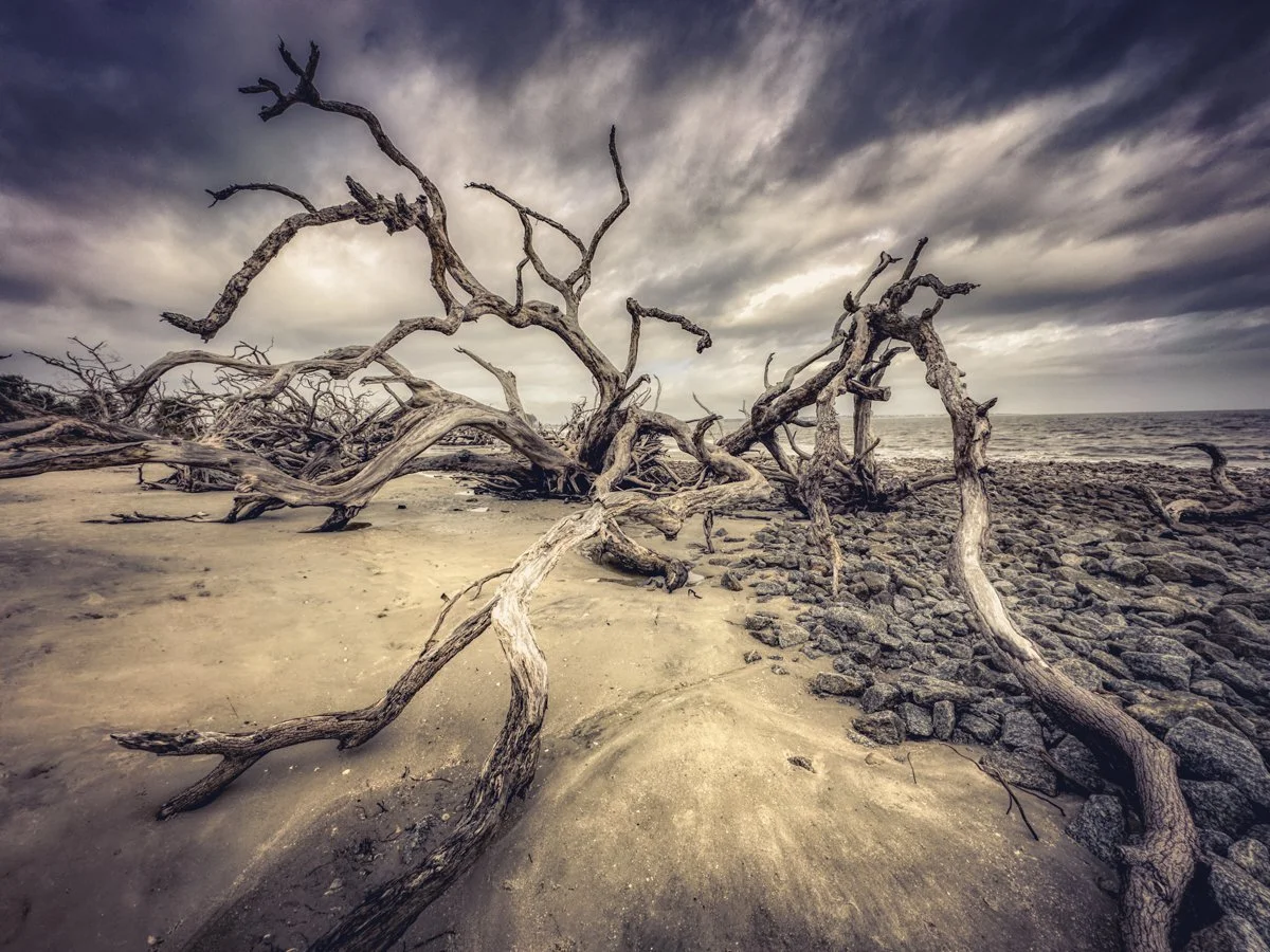 Jekyll Island, GA#1_2024.jpg
