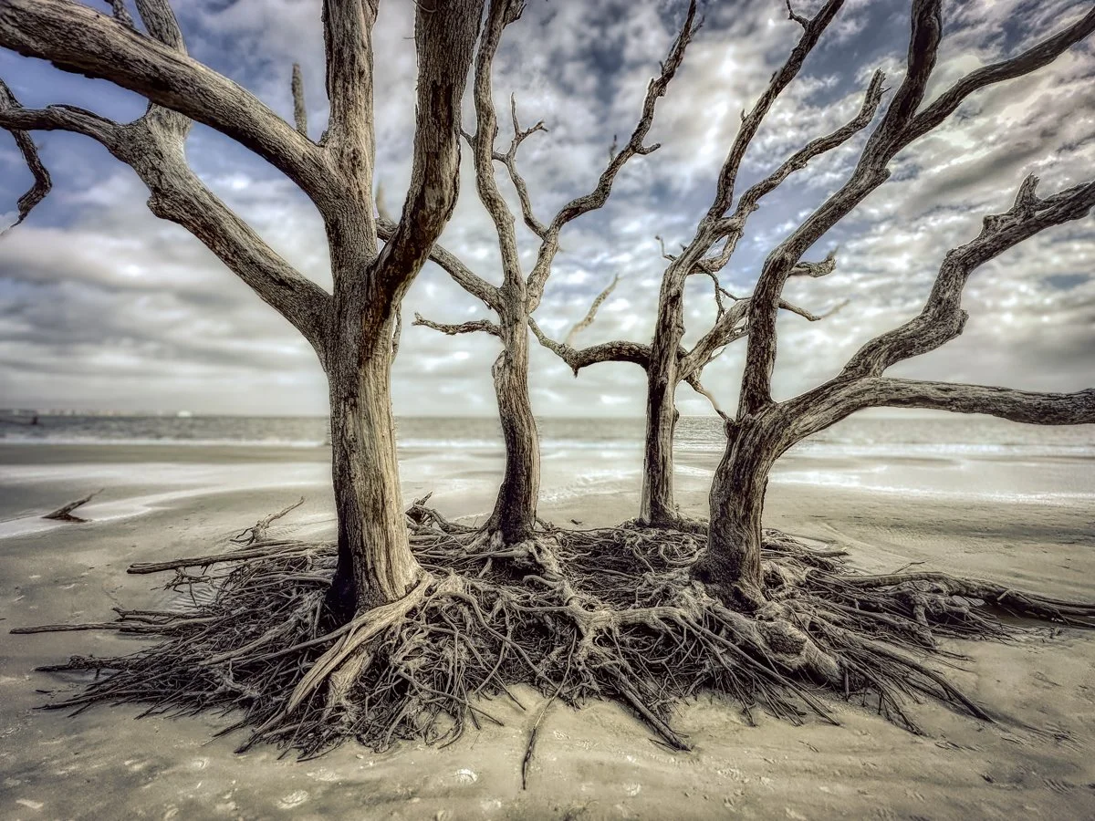 Jekyll Island, GA#2b_2024.jpg