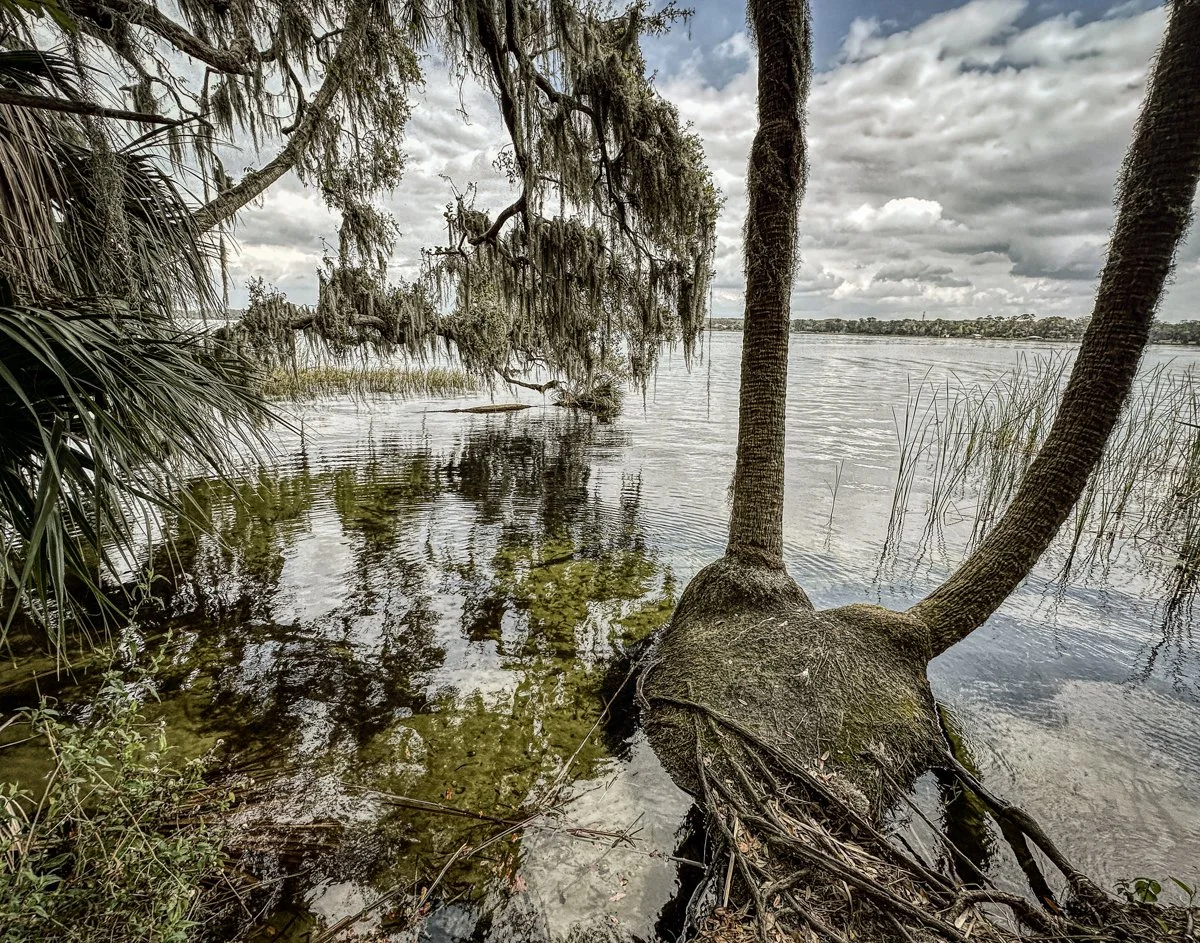 Lake Beauclaire, FL 2025.jpg