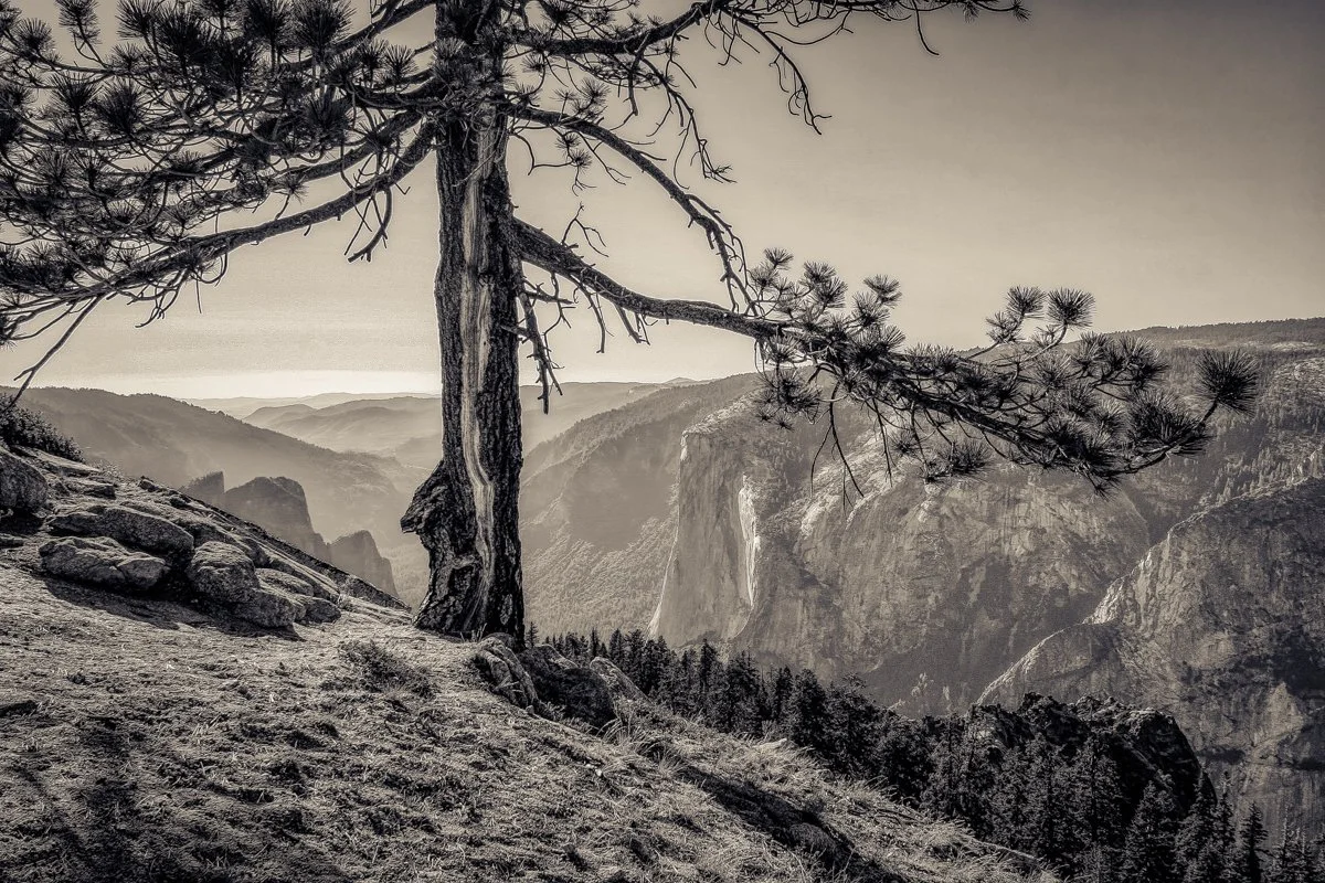 Yosemite, CA 2004