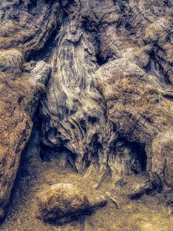 Yosemite, CA 2002