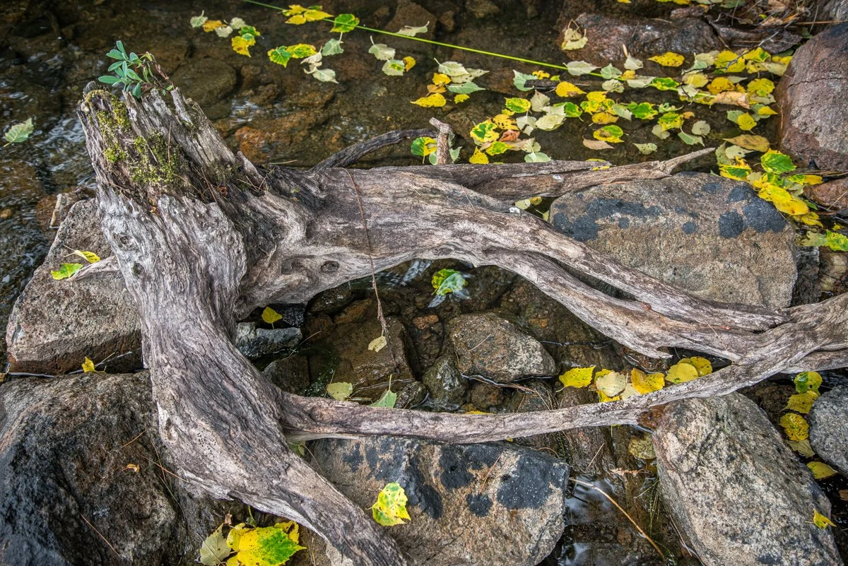 Cole Lake, Ontario, CAN