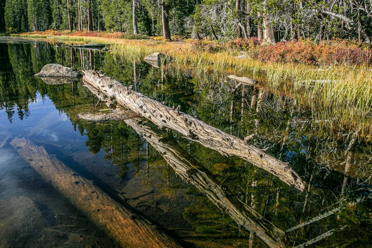 Yosemite, CA