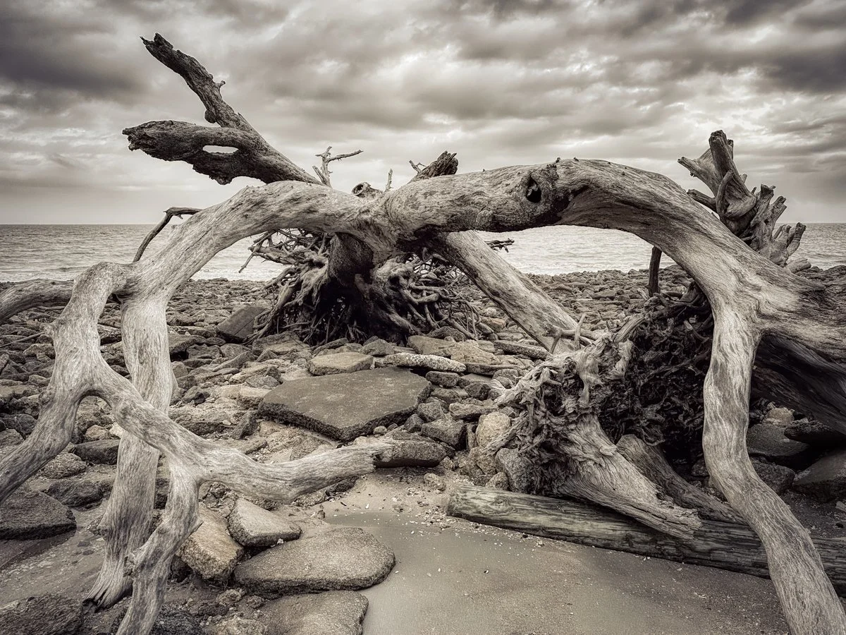 Jeykll Island, GA 2024