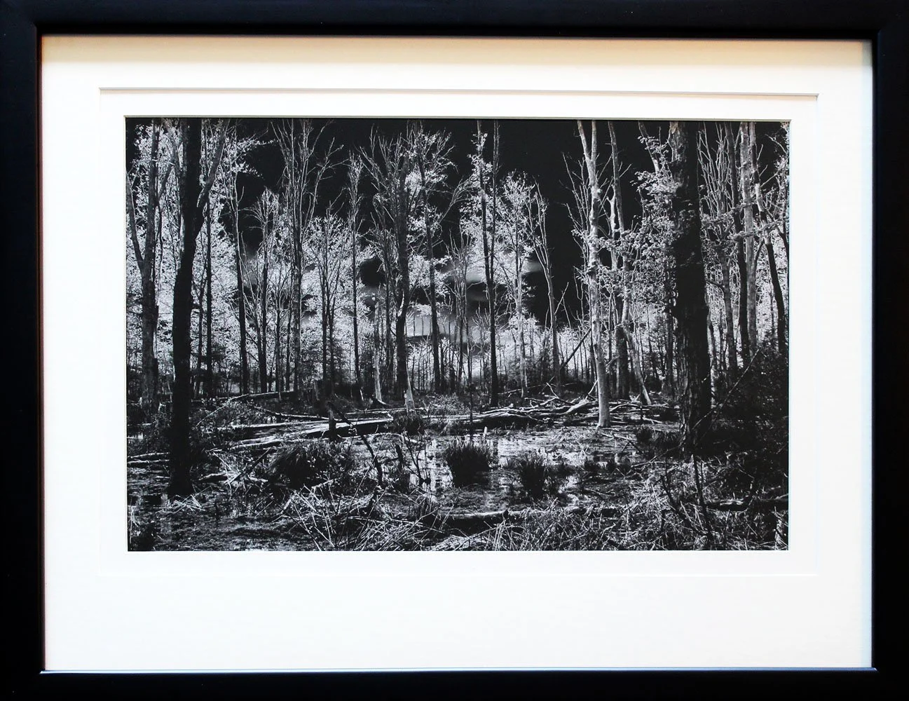 (9) Nightmare Swamp # 338 framed, matted - 16x20.jpg