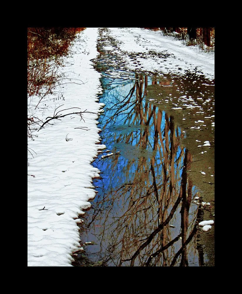 (21) Winter Reflection # 386 11 x14 framed and matted PS frame.jpg