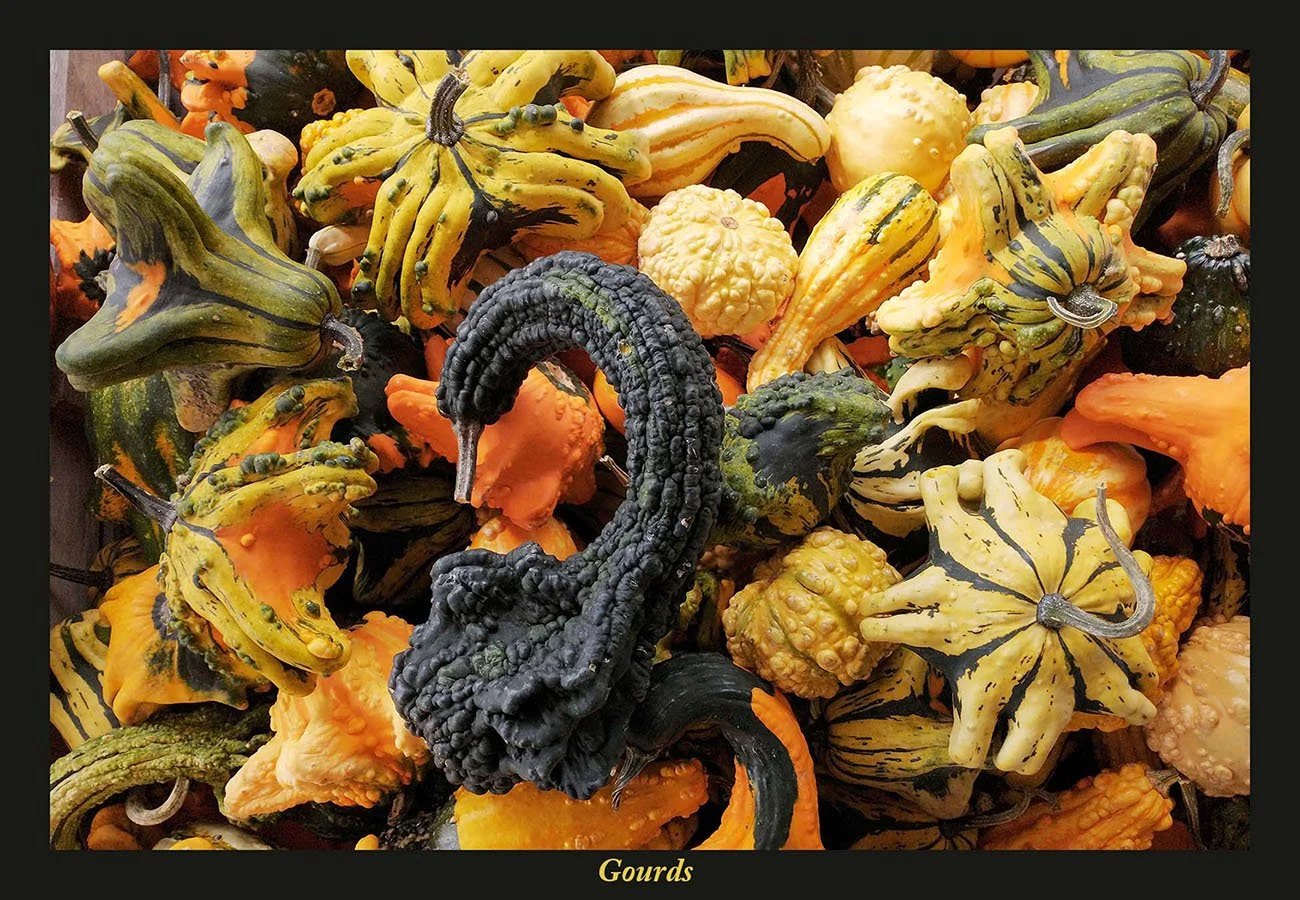 Gourds.jpg