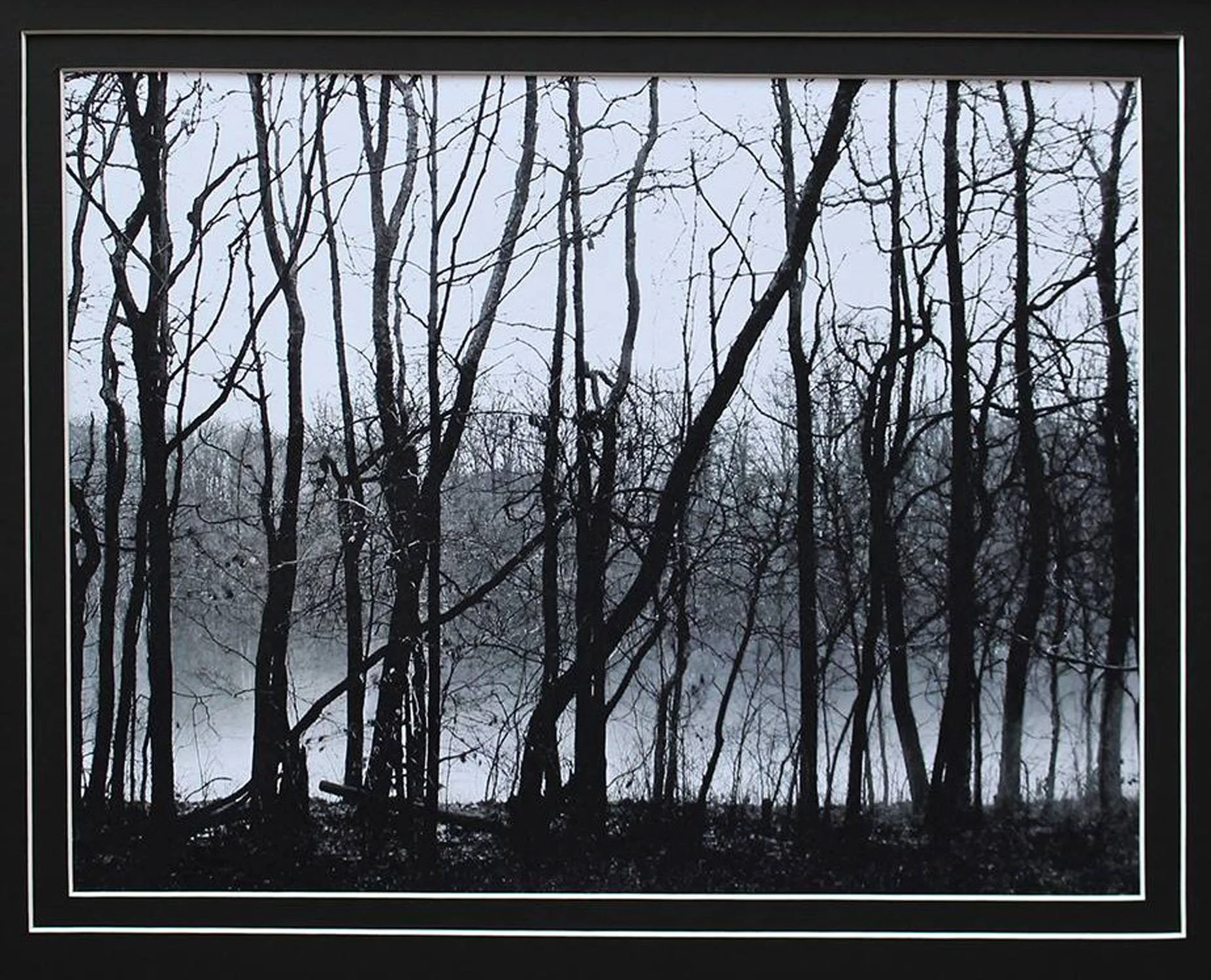 Misty Woods 16x20 framed.jpg