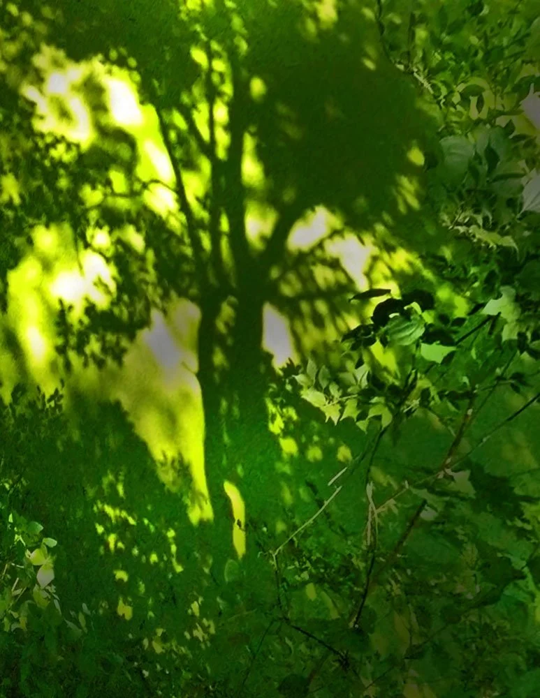 scum shadow cropped FIXED.jpg