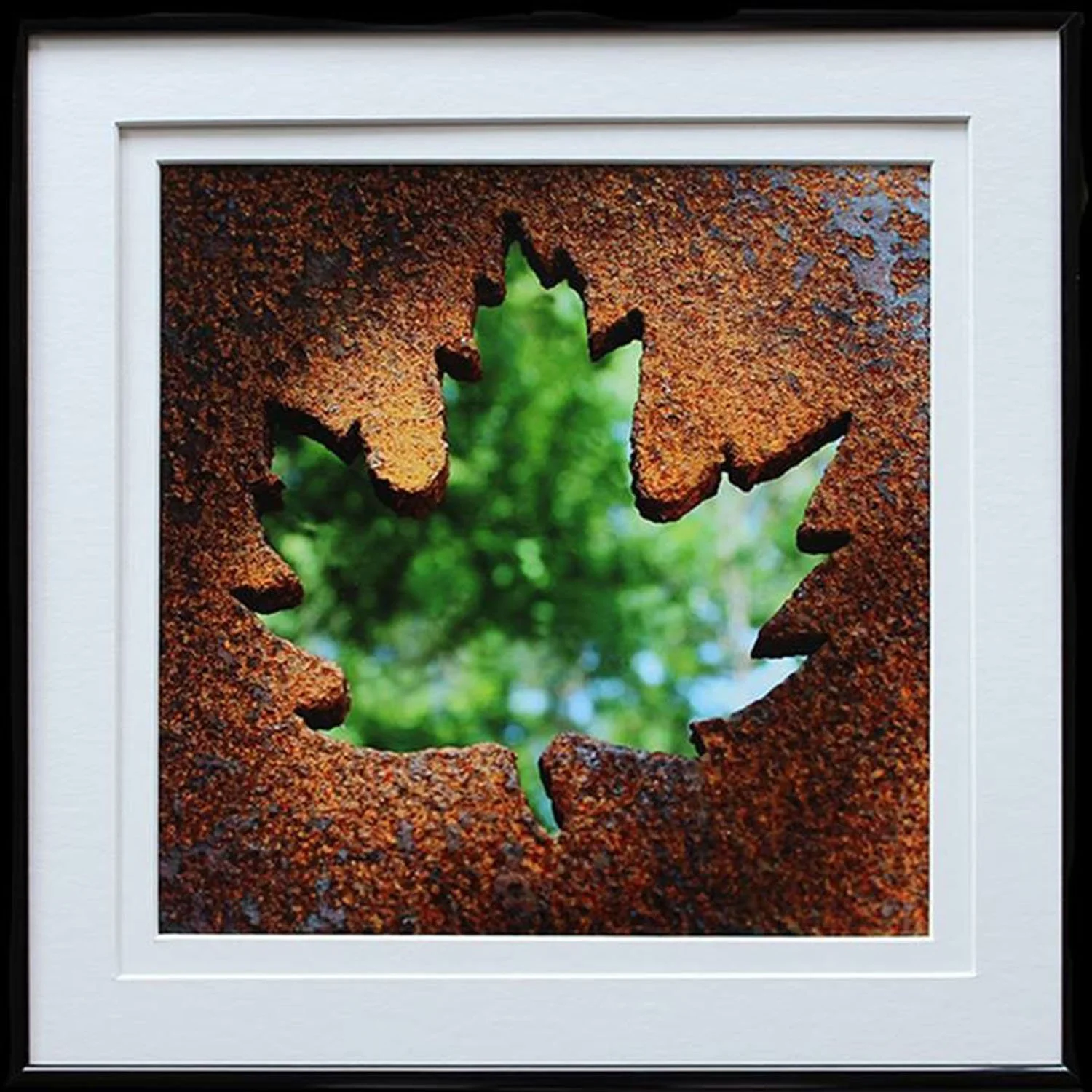 View Through a Leaf - digital photo - 14x14.jpg