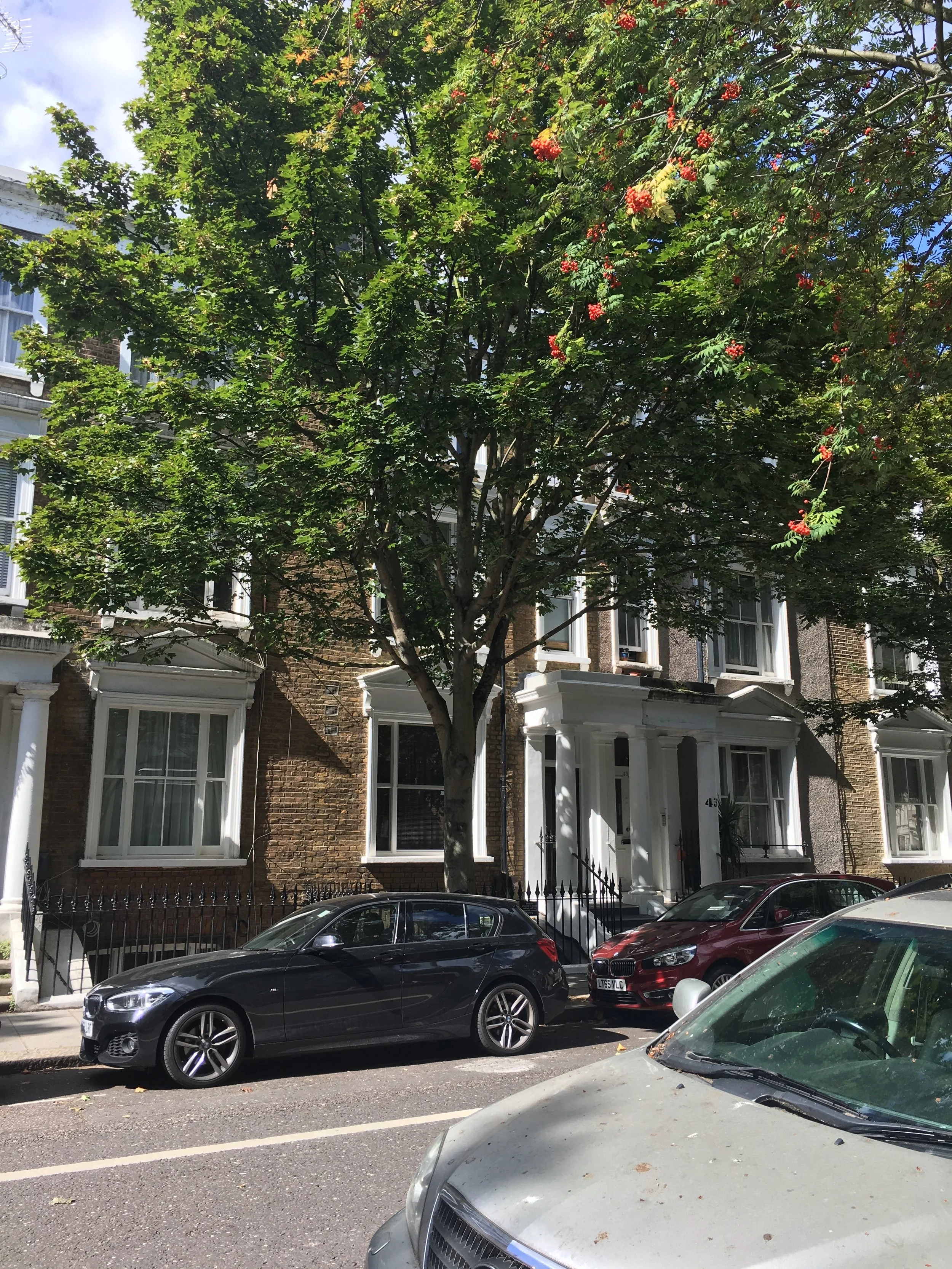 The Trouble with Flats