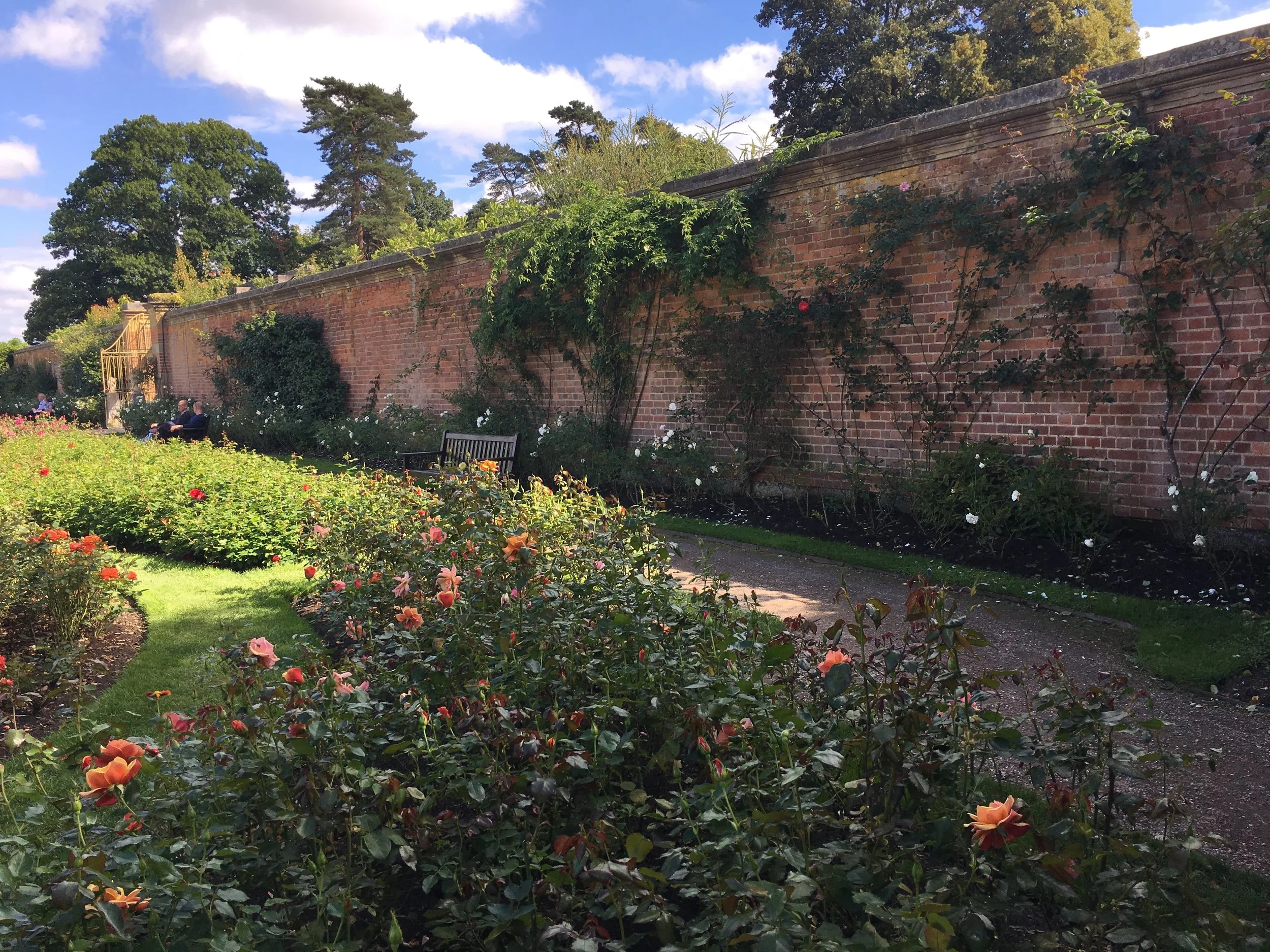 Adventures in the Liminal Space