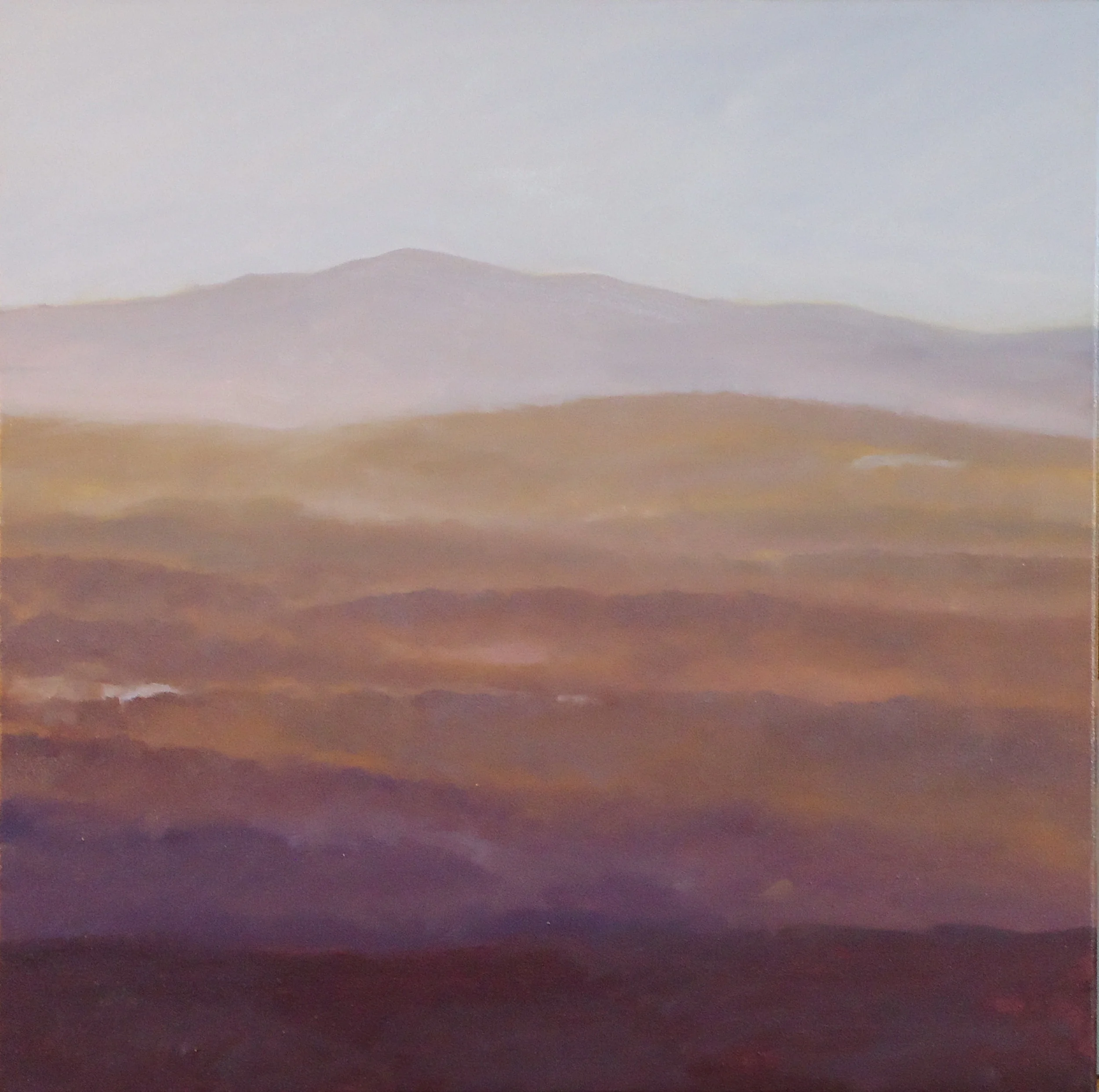 "View from Brown Hill #16"
