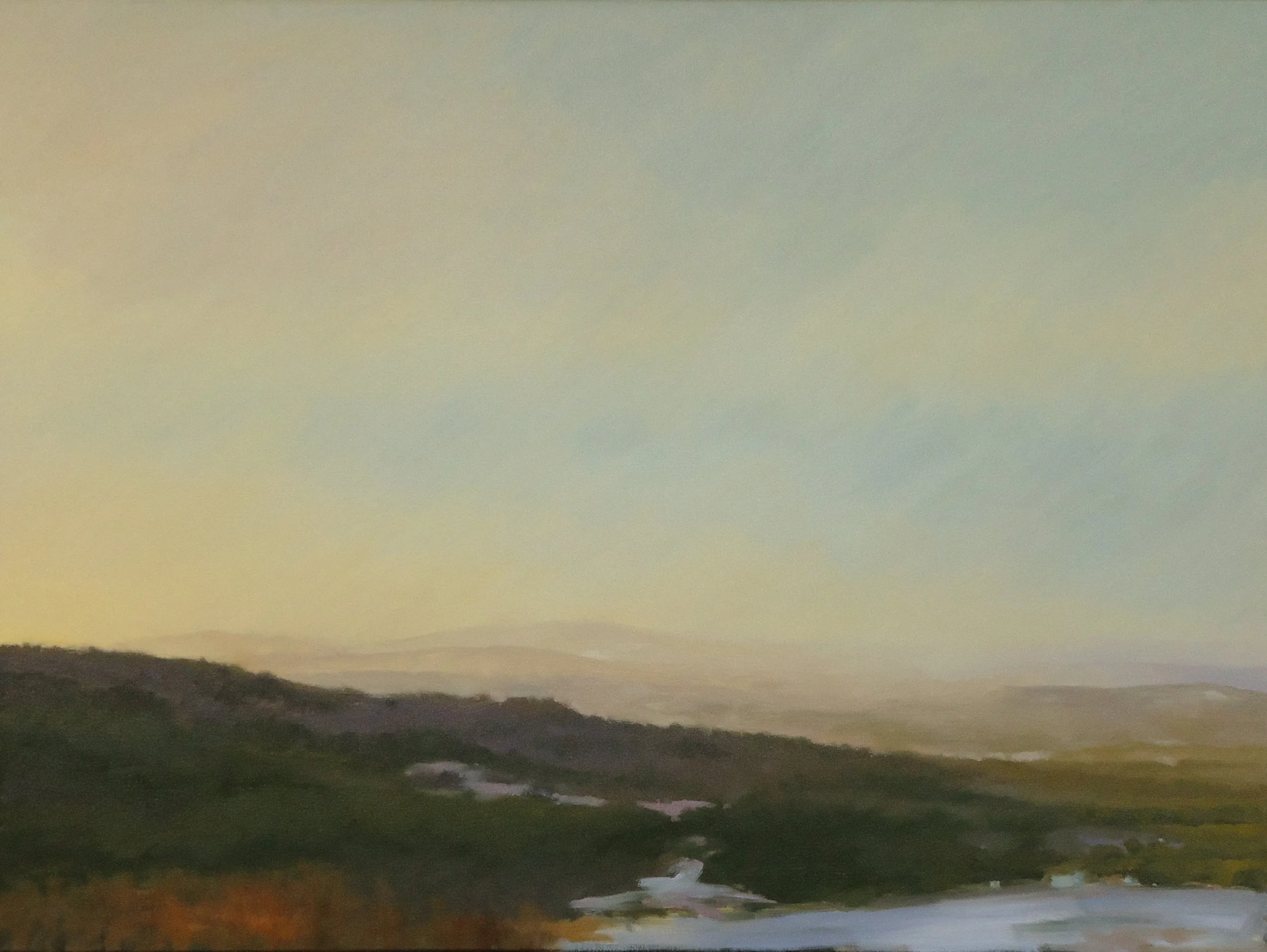 "View From Brown Hill