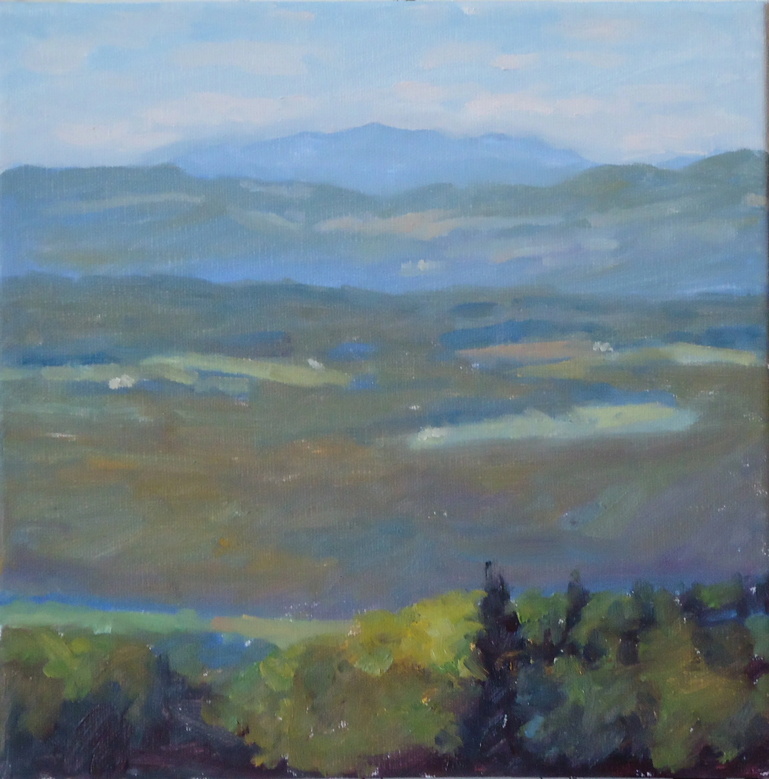  10”x 10” oil/canvas SOLD 