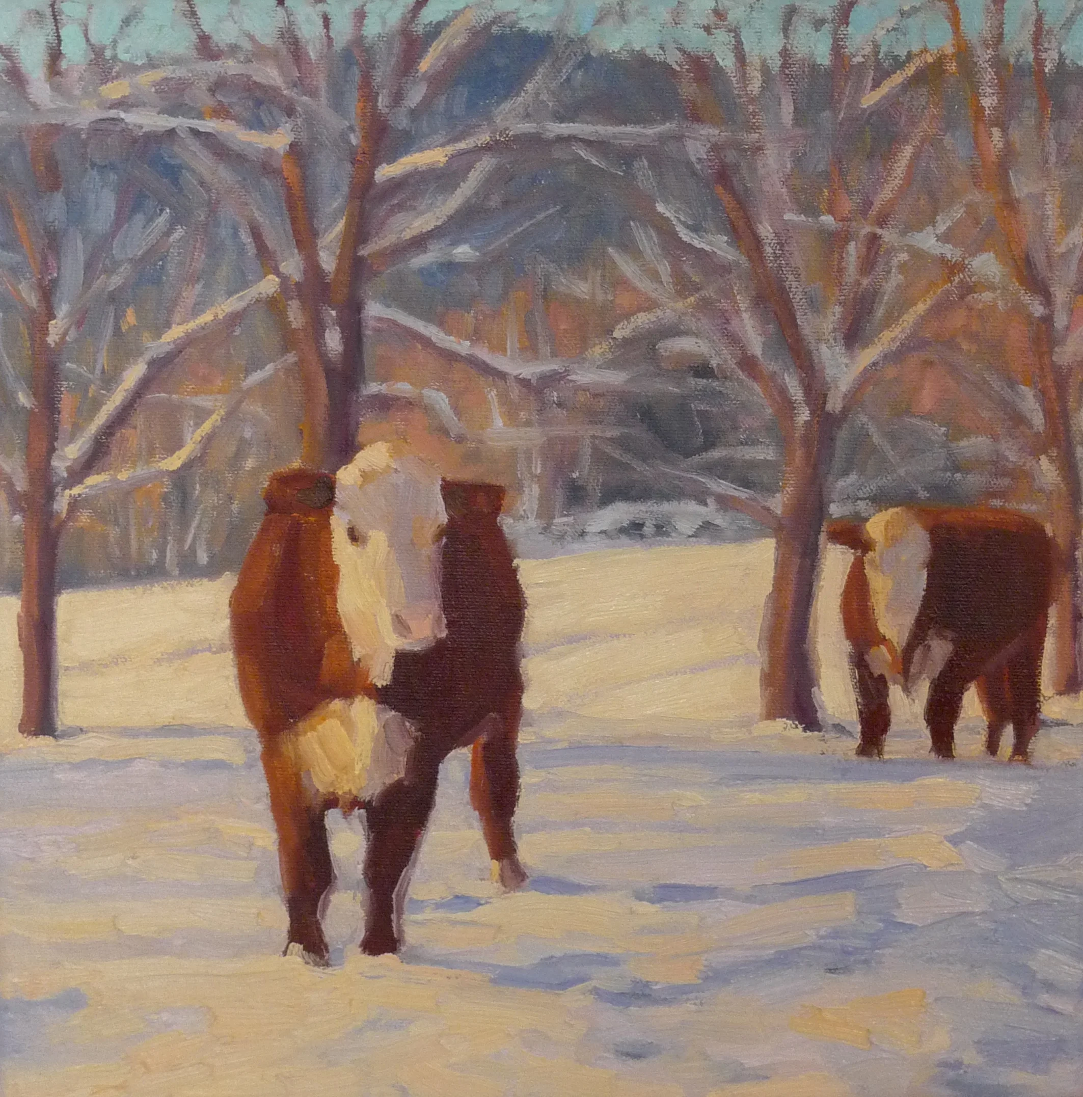 "Winter Cows"