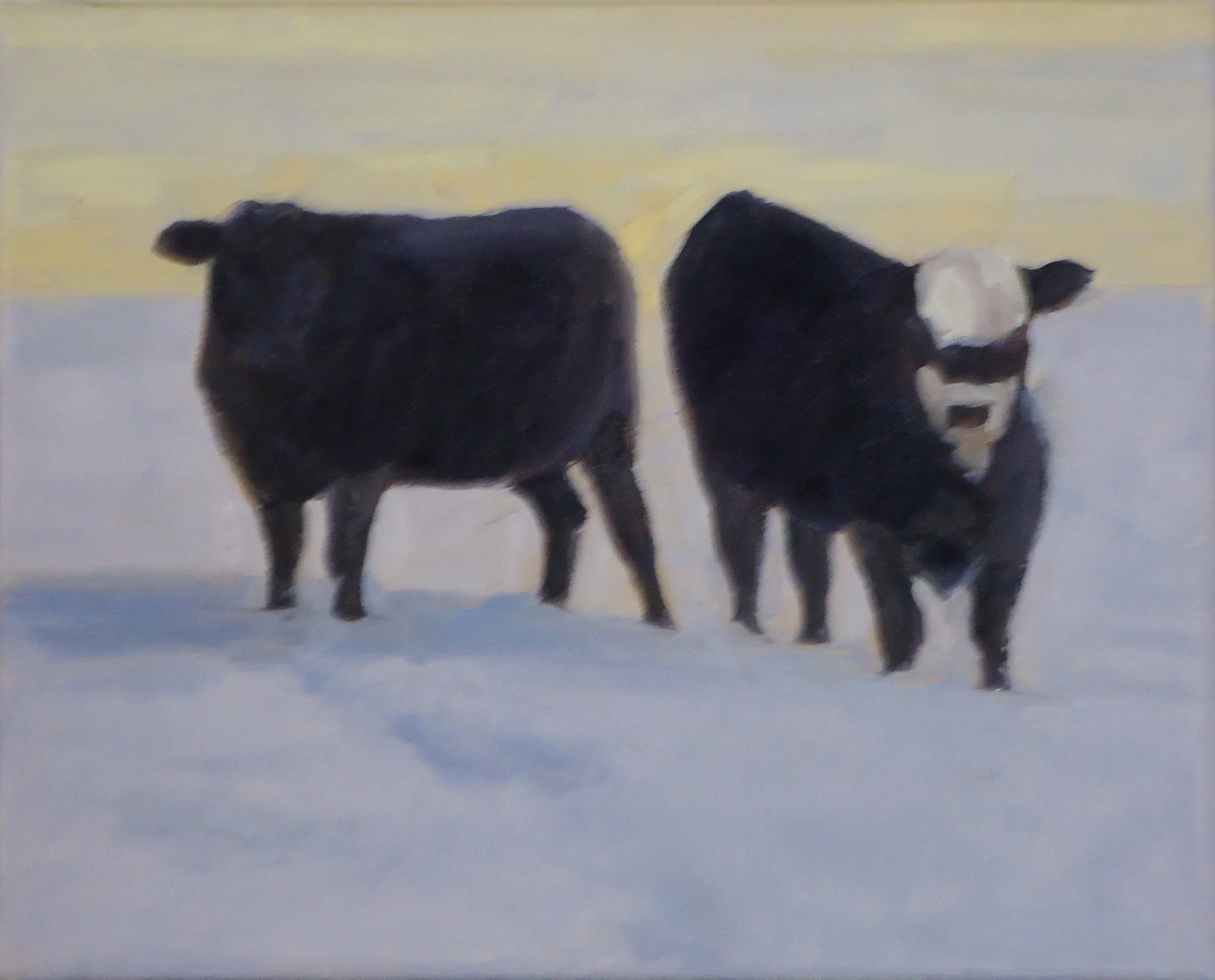 "Winter Cows"