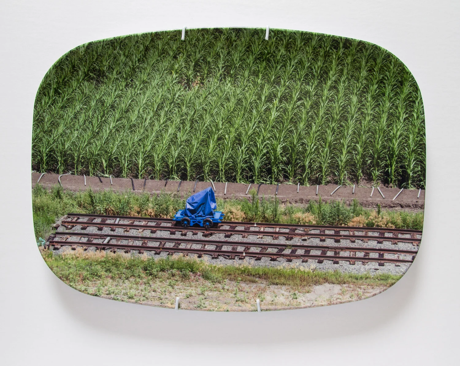 American Mythologies , photograph on melamine platter, 10 x 14 inches, 2016 (North Platte, NE)