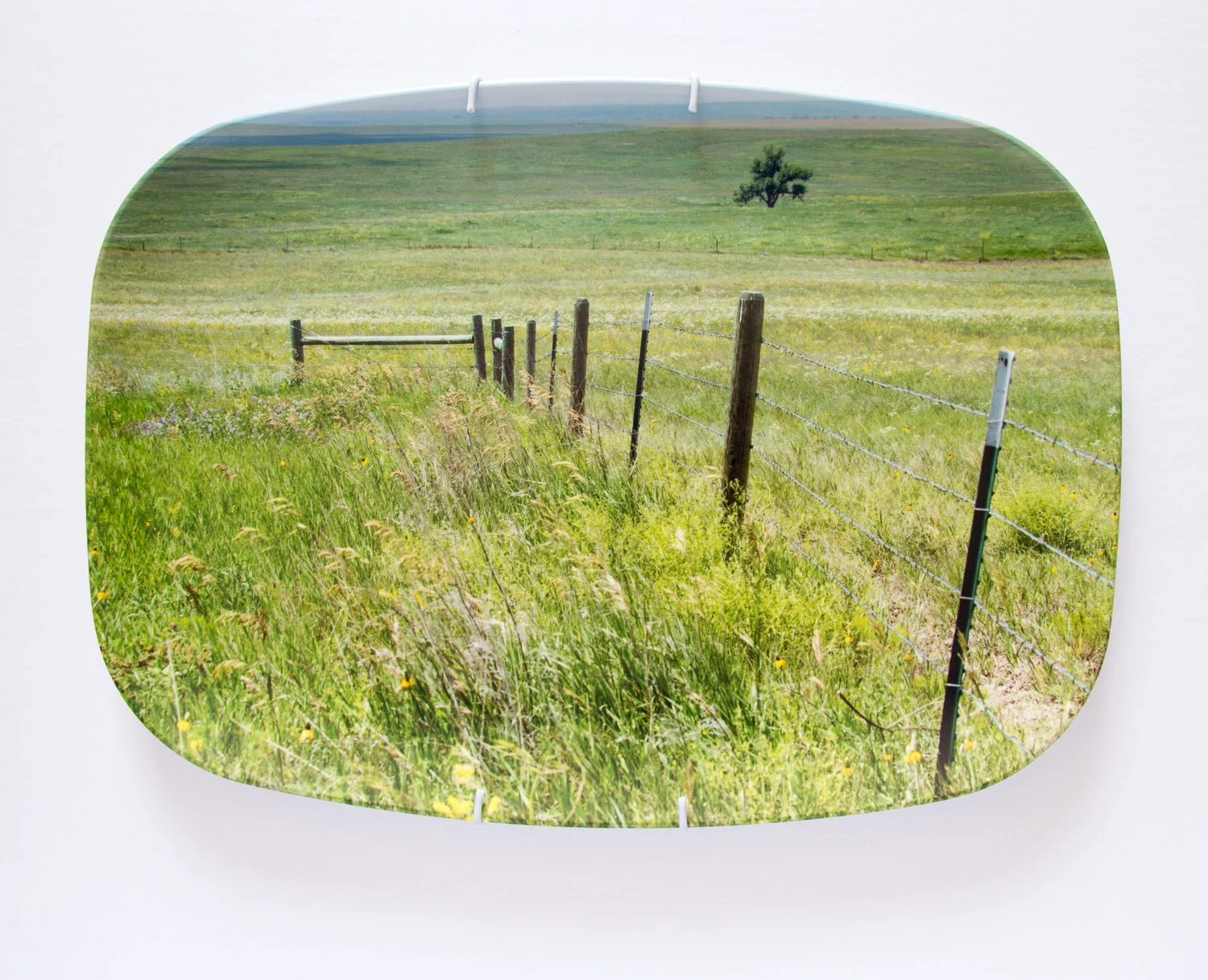 American Mythologies , photograph on melamine platter, 10 x 14 inches, 2016 (Philip, SD)
