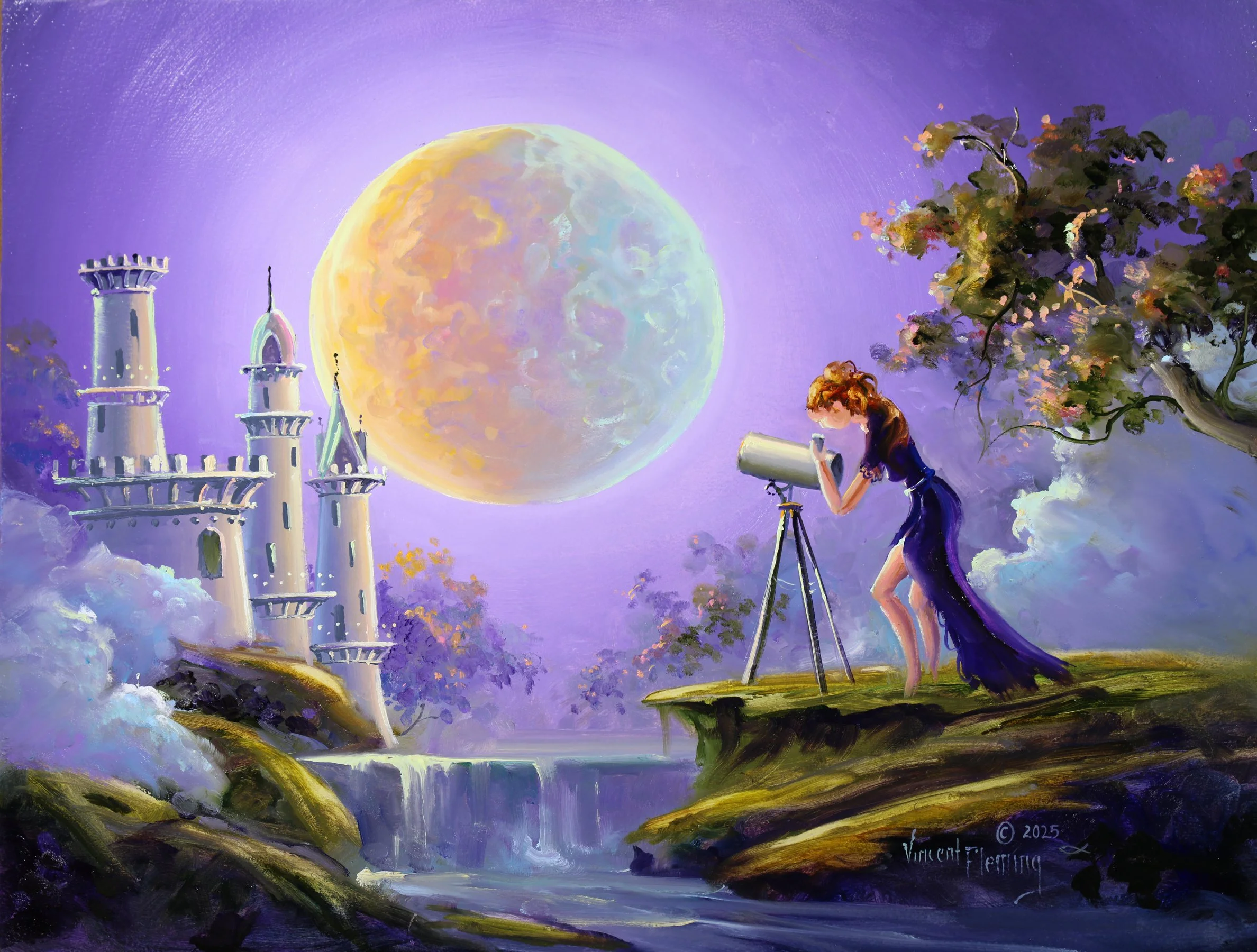 2025 telescope 20x24 oil