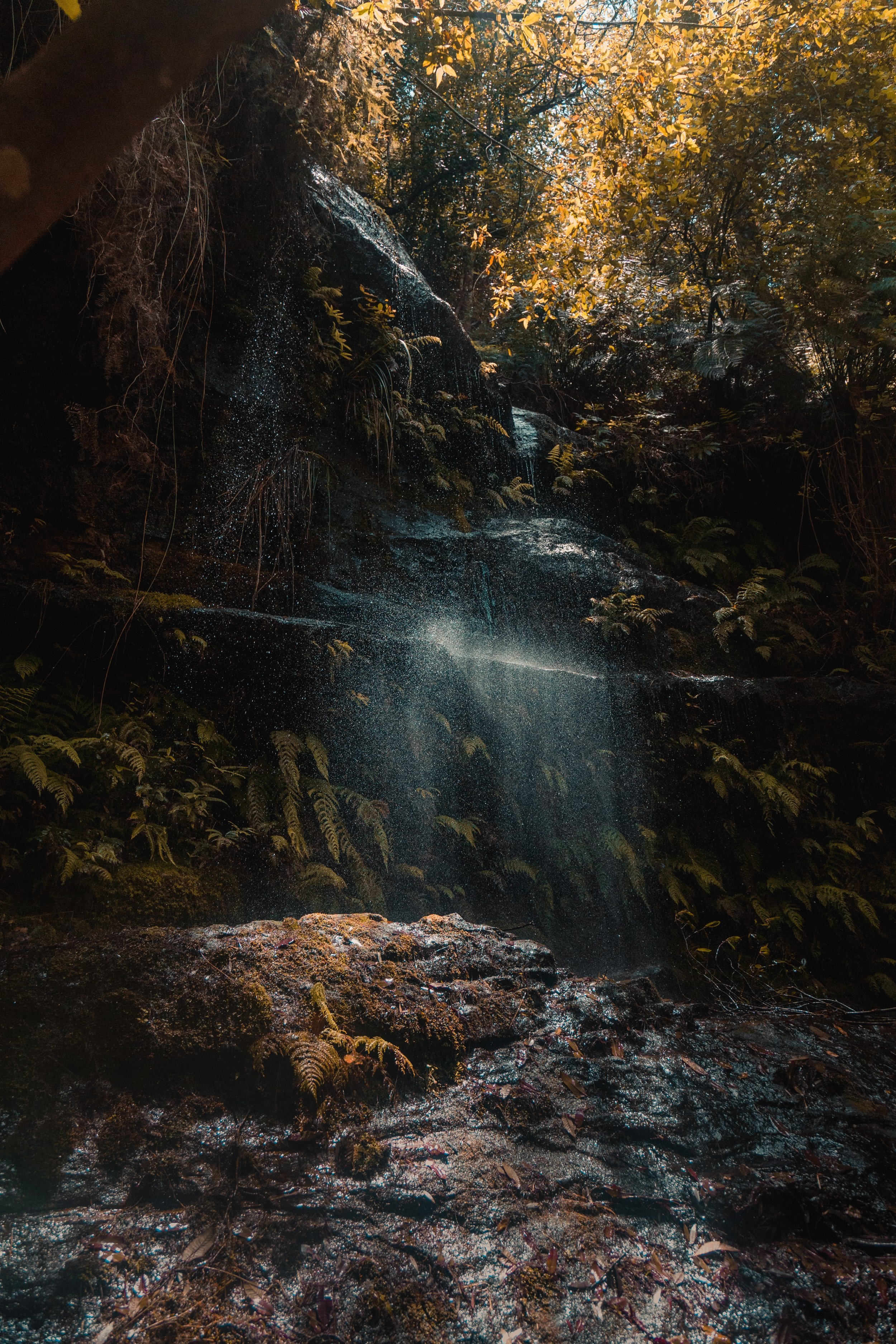 Australia-Hero-unsplash.jpeg
