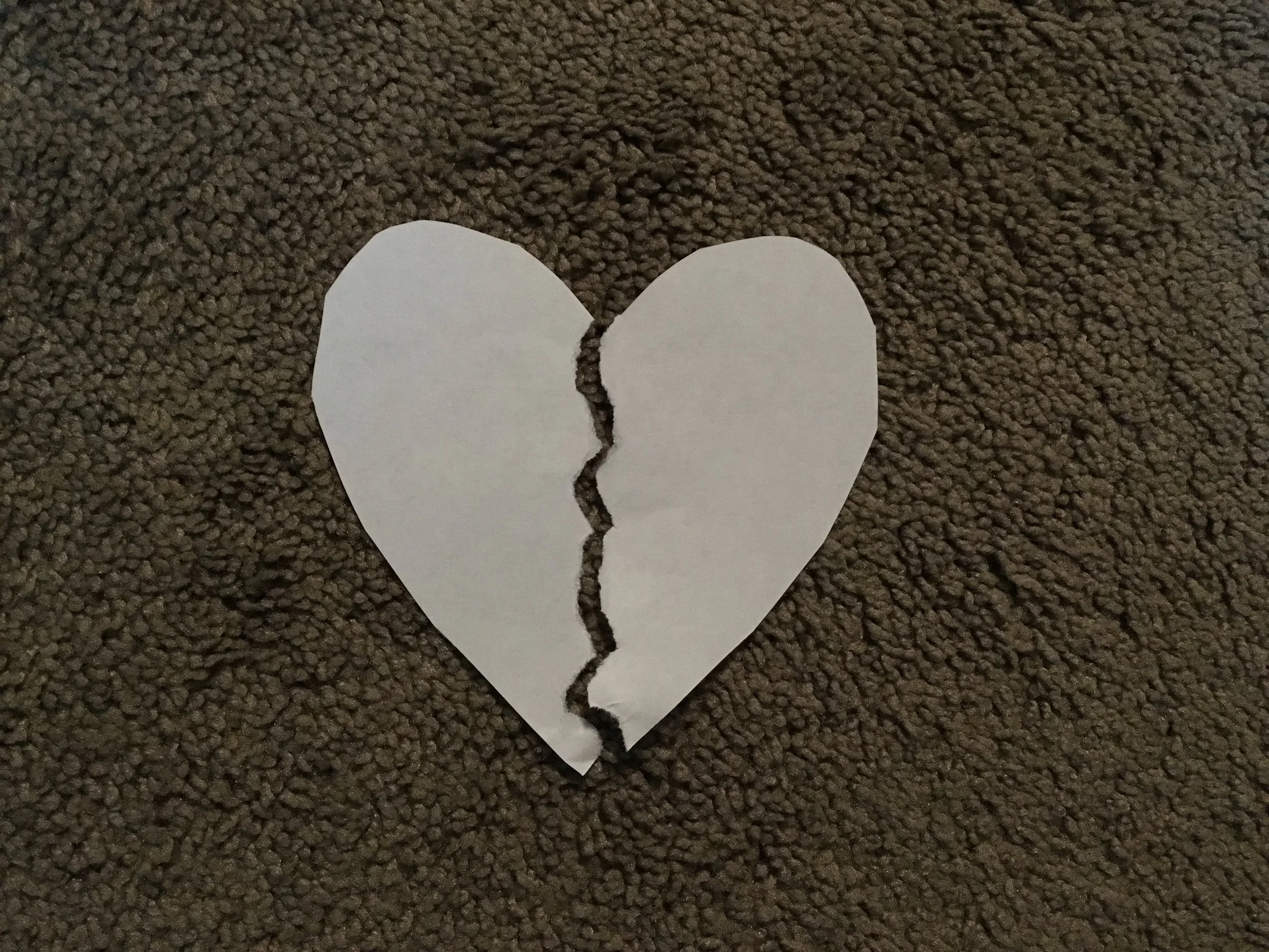 But in the real world, you couldn’t really just split a family down the middle, mom on one side, dad the other, with the child equally divided between. It was like when you ripped a piece of paper into two: no matter how you tried, the seams never fit exactly right again. It was what you couldn't see, those tiniest of pieces, that were lost in the severing, and their absence kept everything from being complete. – Sarah Dessen, What Happened to Goodbye