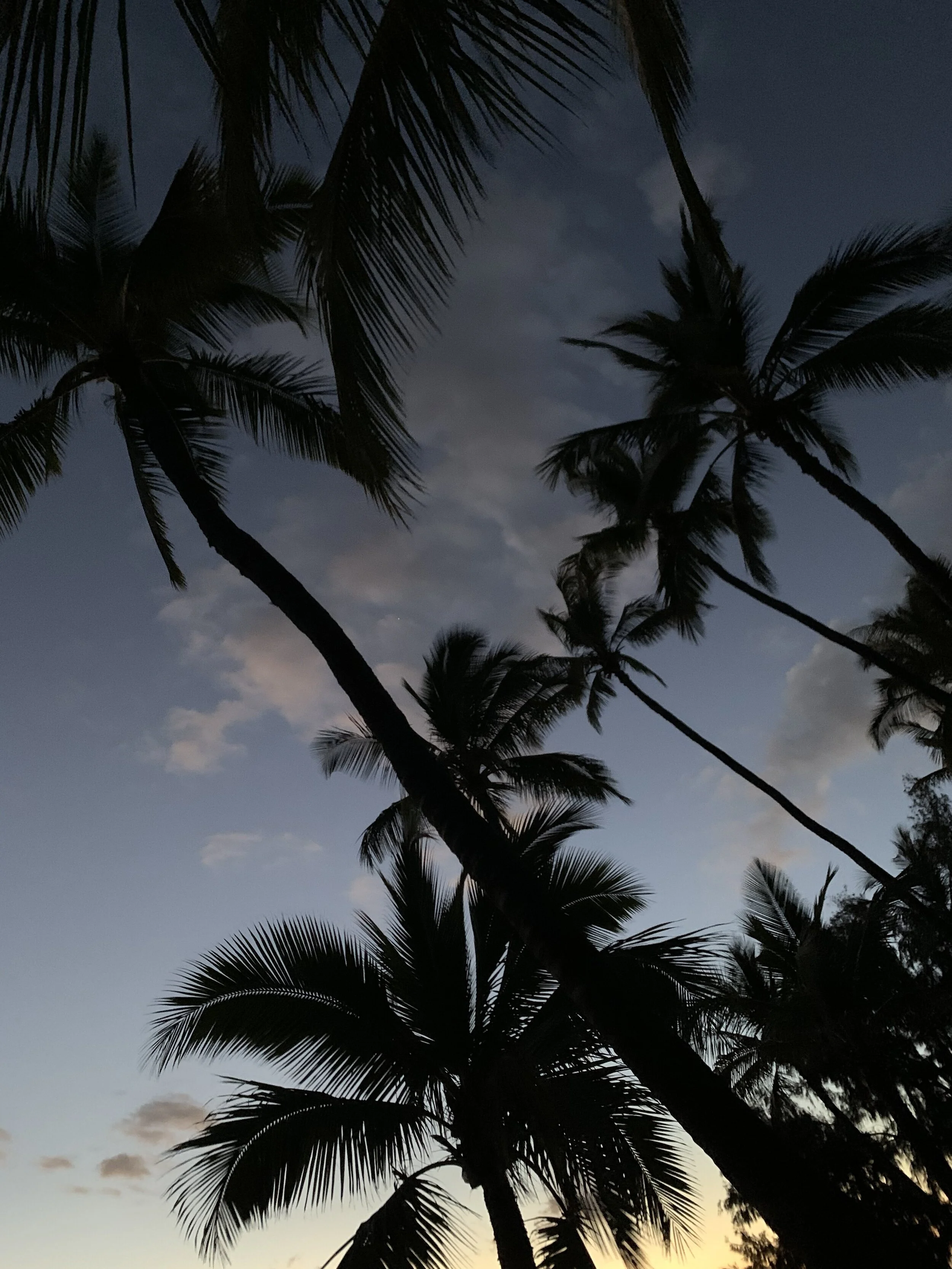 When the World Feels Like a Danger Zone