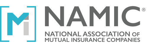 NAMIC logo.png