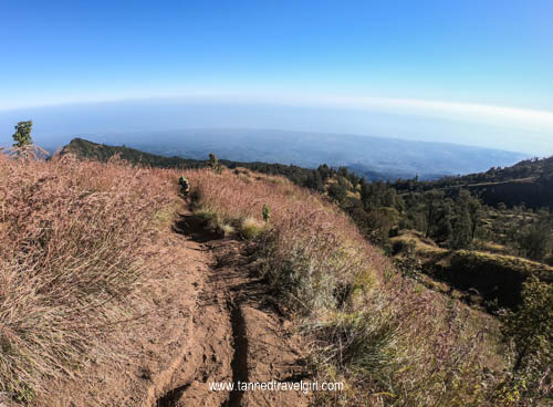 mount rinjani savanna trail