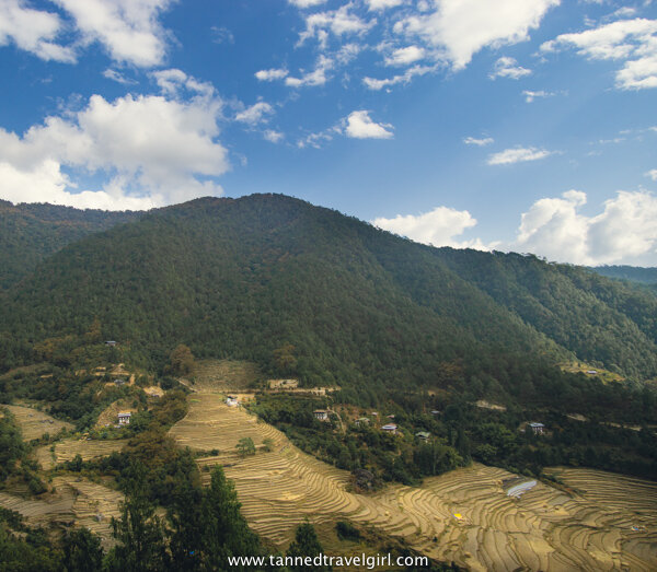 mountain views in bhutan in Punakha