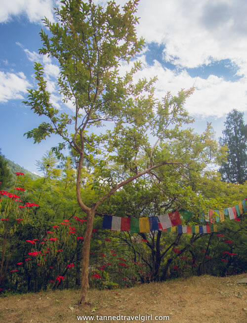 bhutan prayer flags view