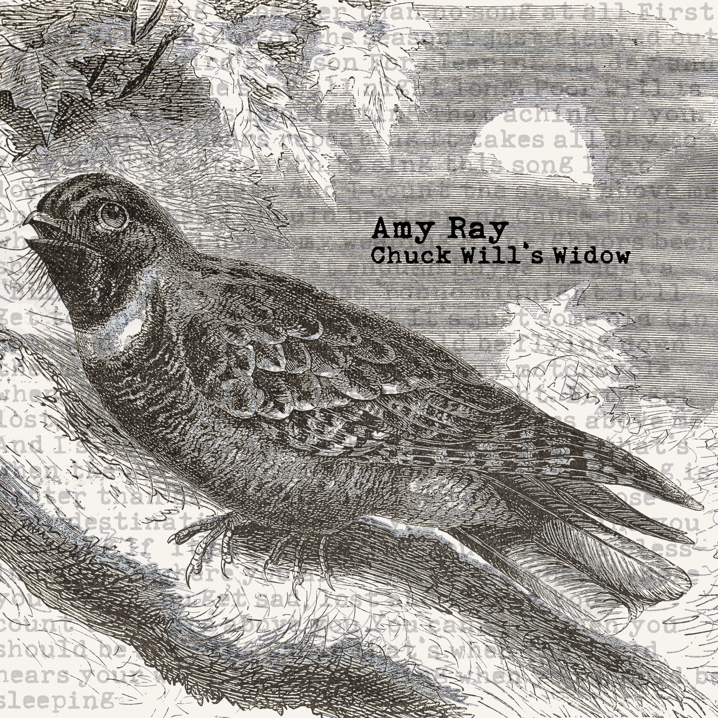 AmyRay_ChuckWillsWidow.jpg