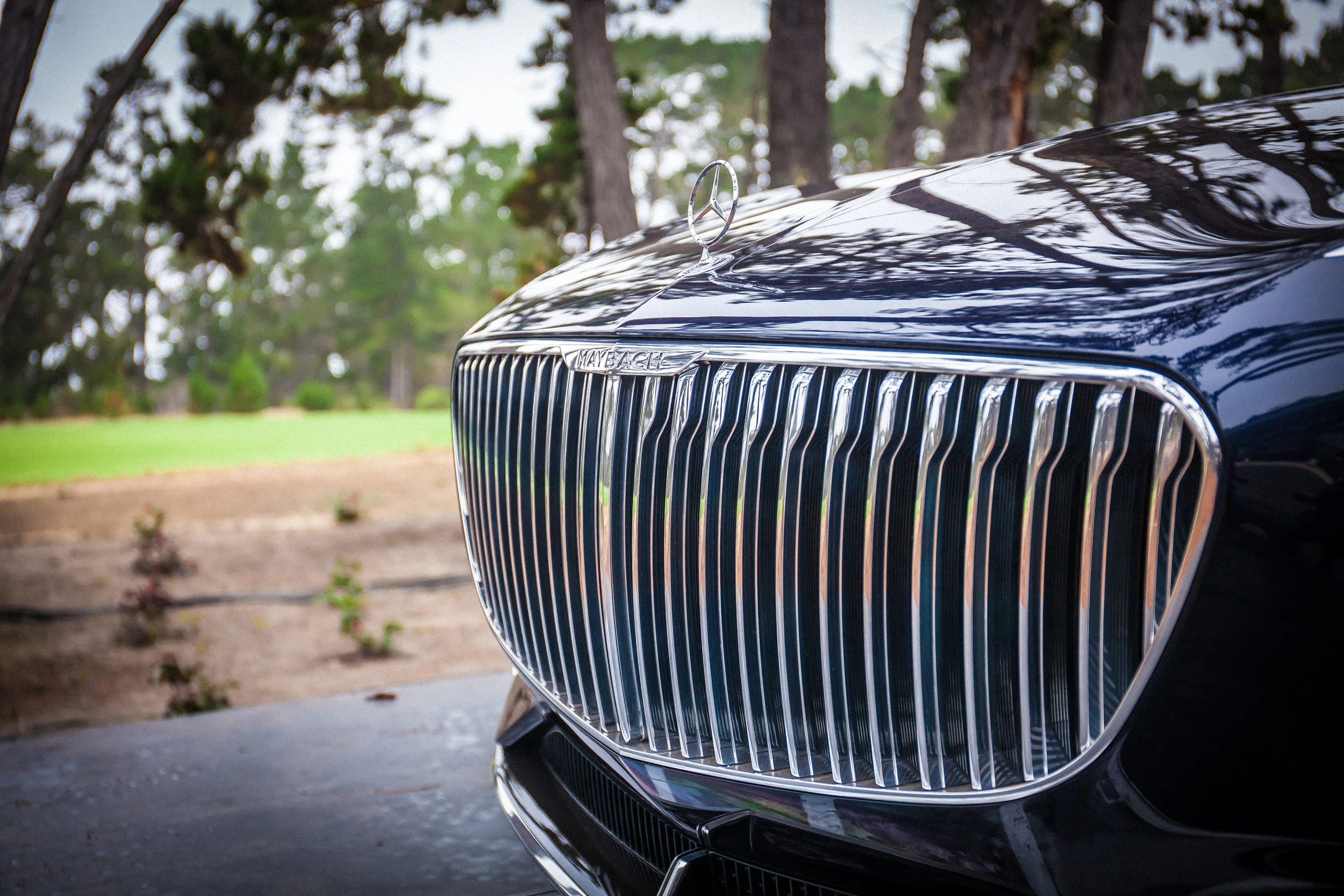 MDP-untitled shoot-IMG_9963-56.jpg