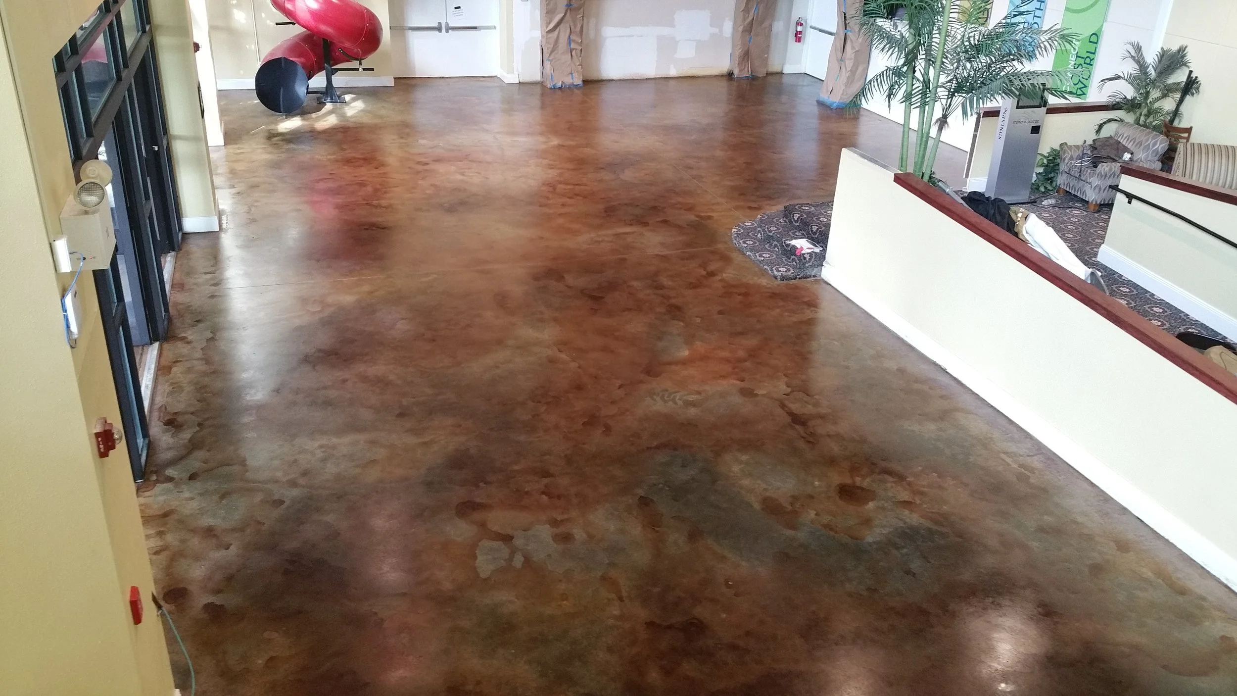 20160816_094717.jpg