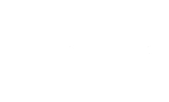 Magnolia Memoir