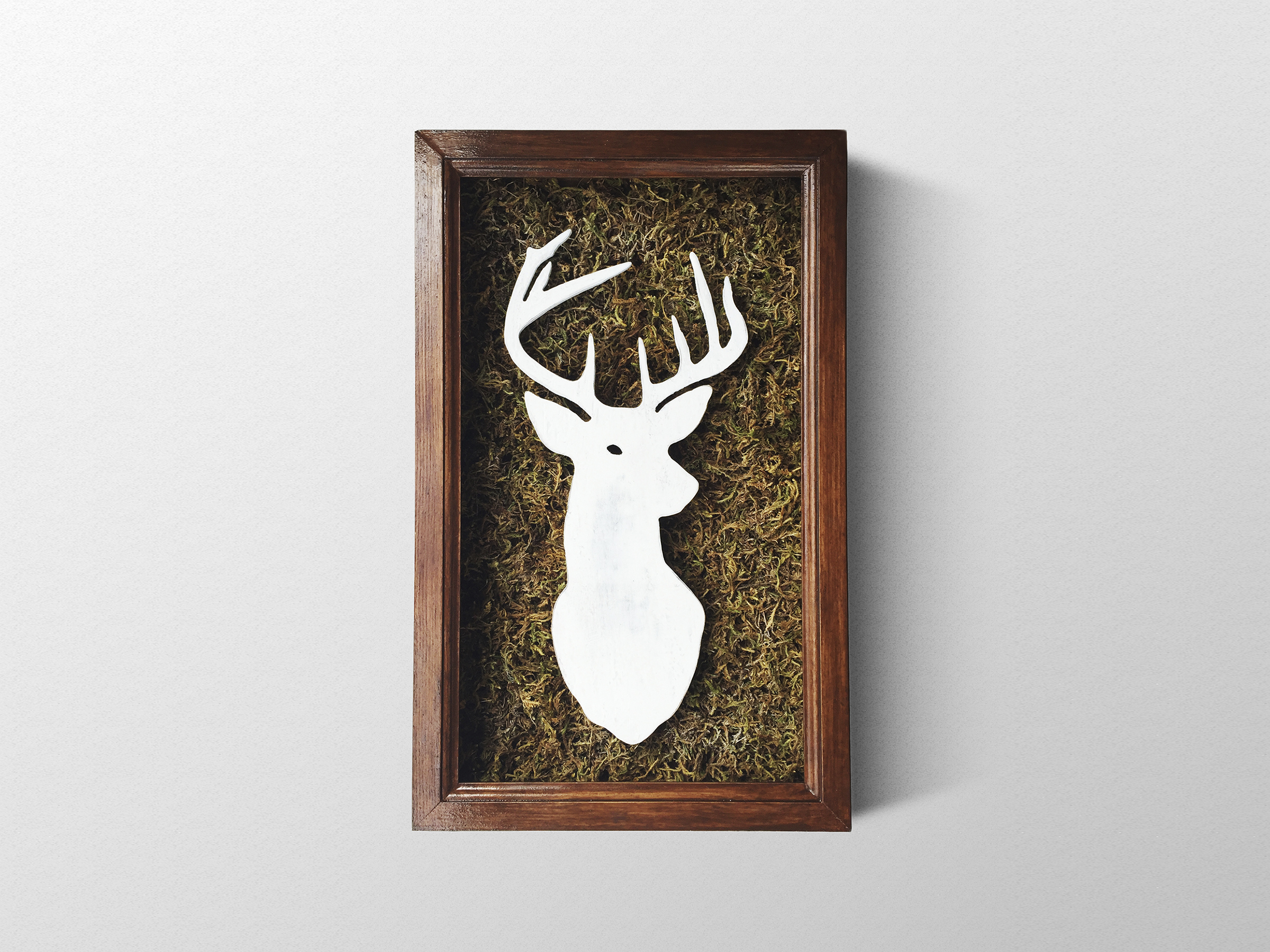 PNW Box