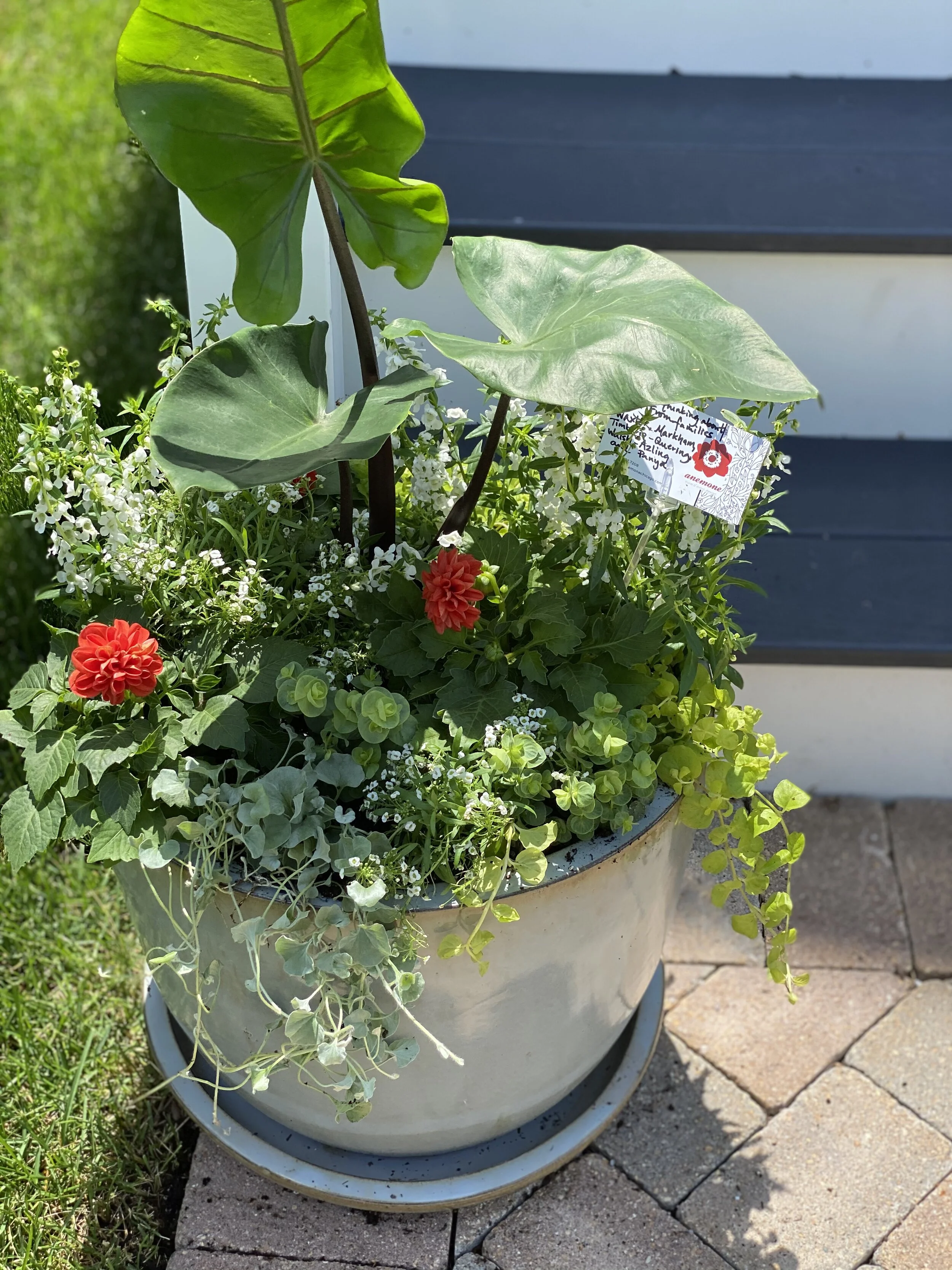 custom garden planter tropical