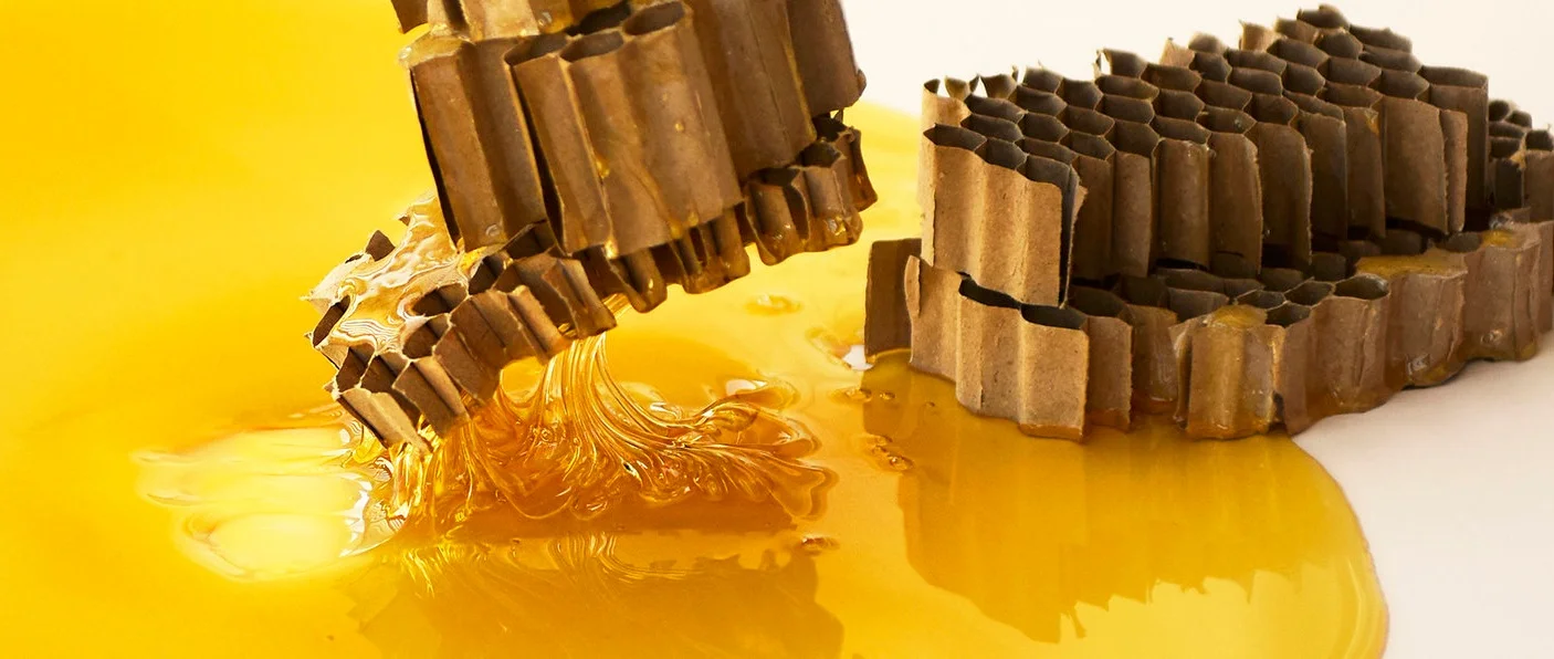 Performance Art – Honey Sculpture