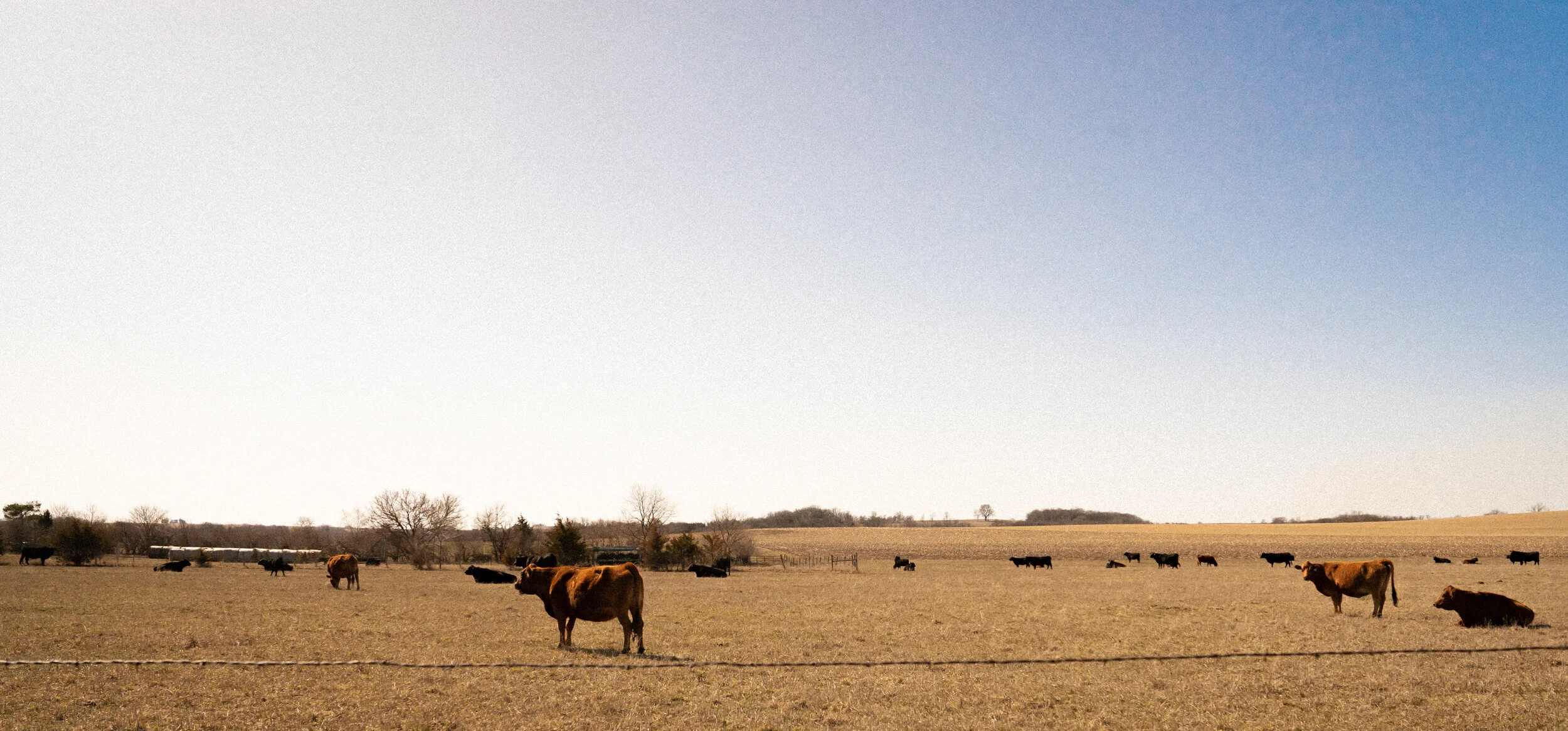Rural Iowa-01.jpg
