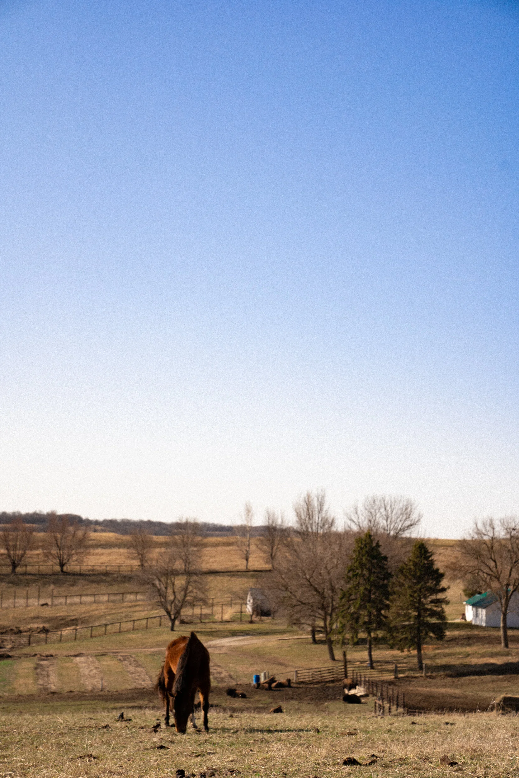 Rural Iowa-05.jpg
