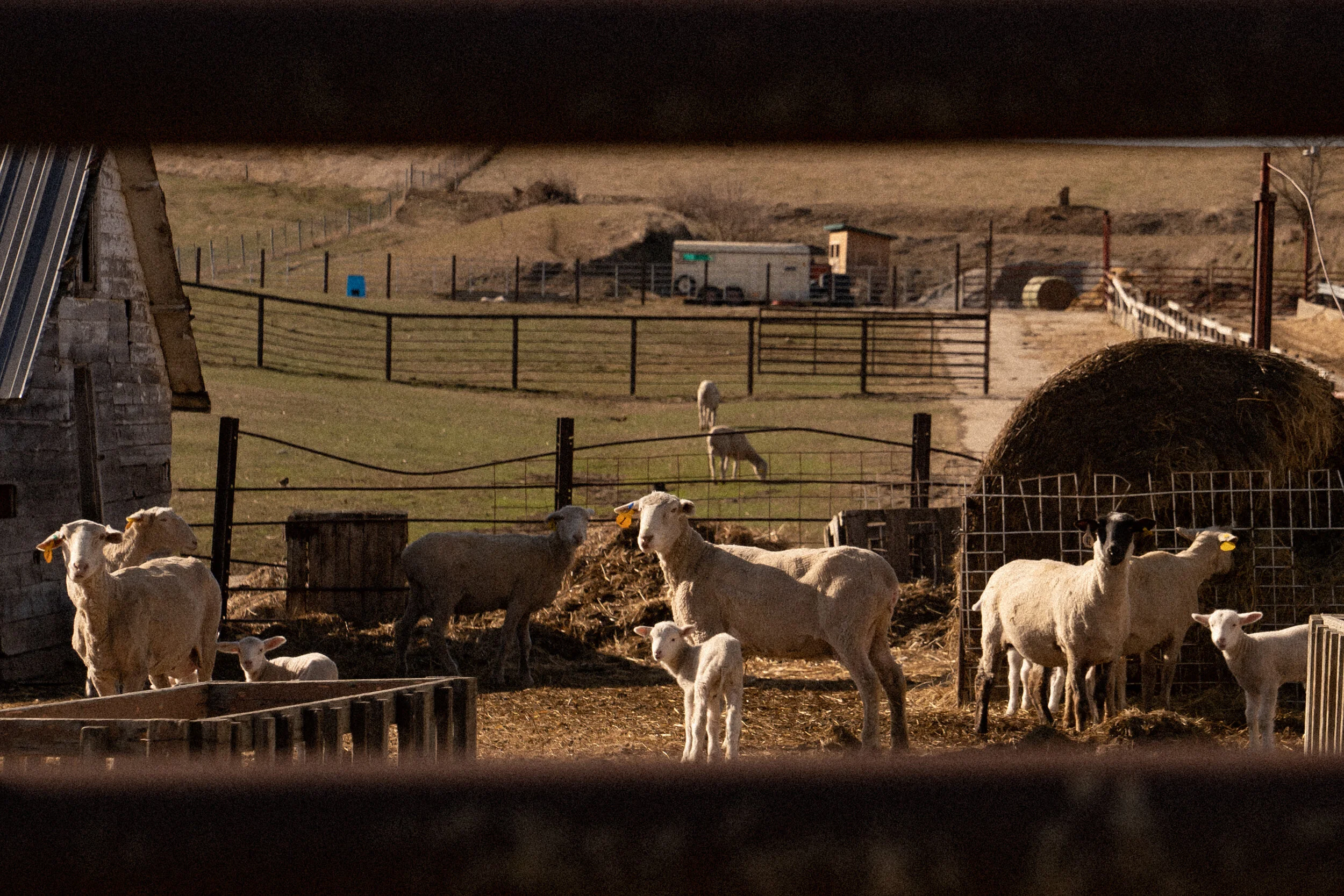 Rural Iowa-07.jpg