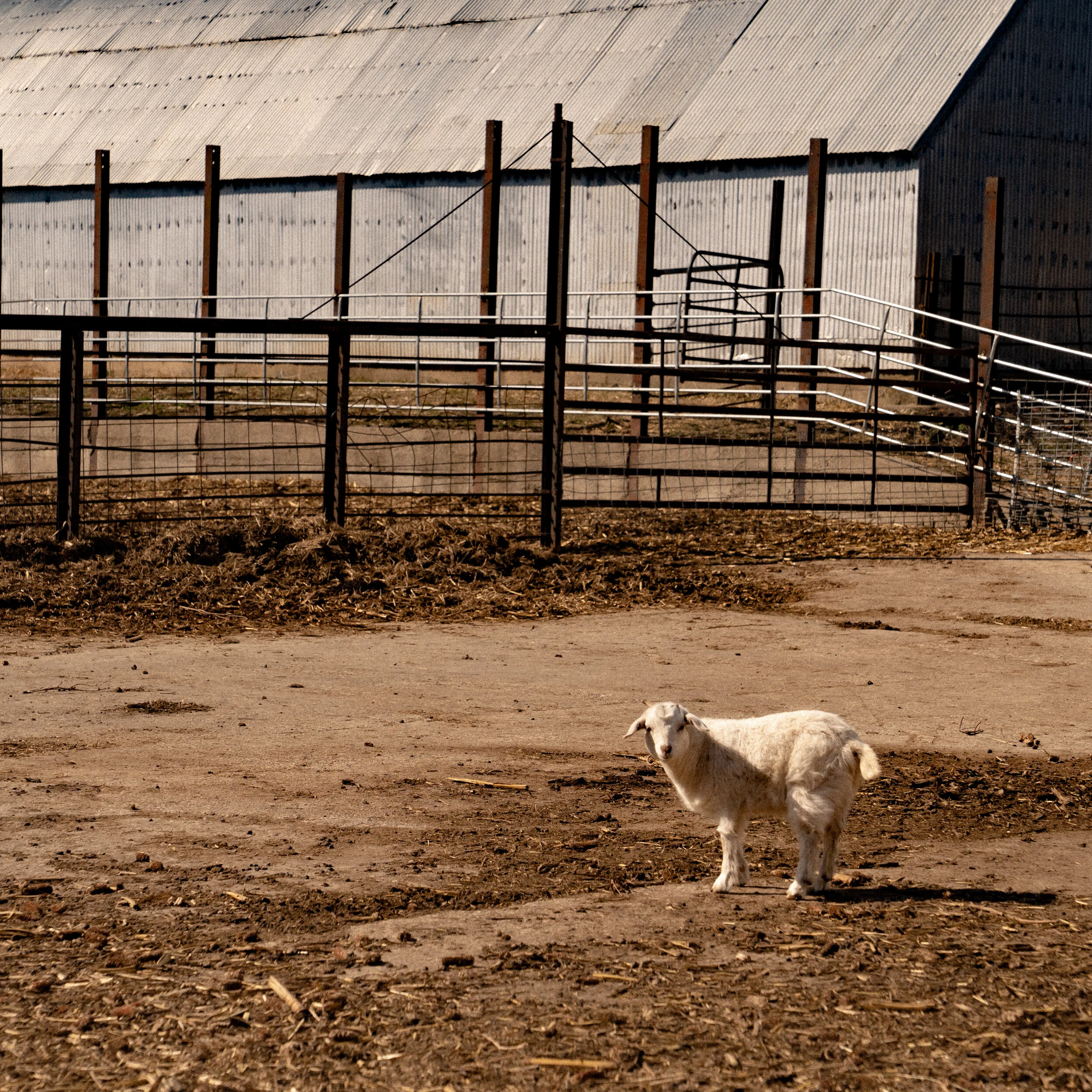 Rural Iowa-03.jpg