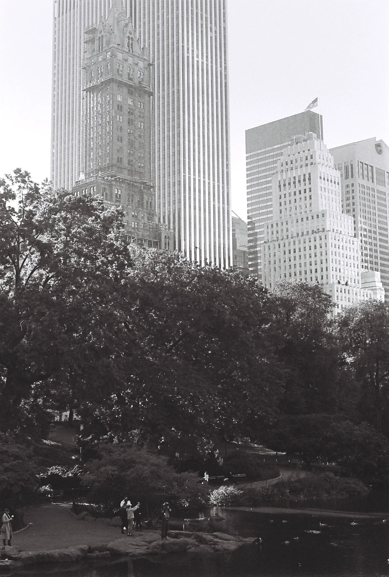 Snyder Portfolio-NY Pond.jpg