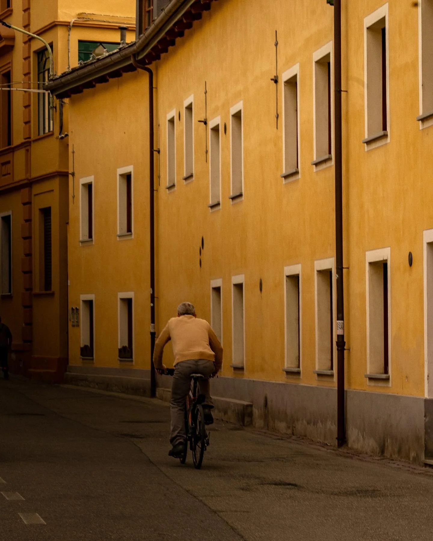 Daydreaming in sunflower yellow.

#italy