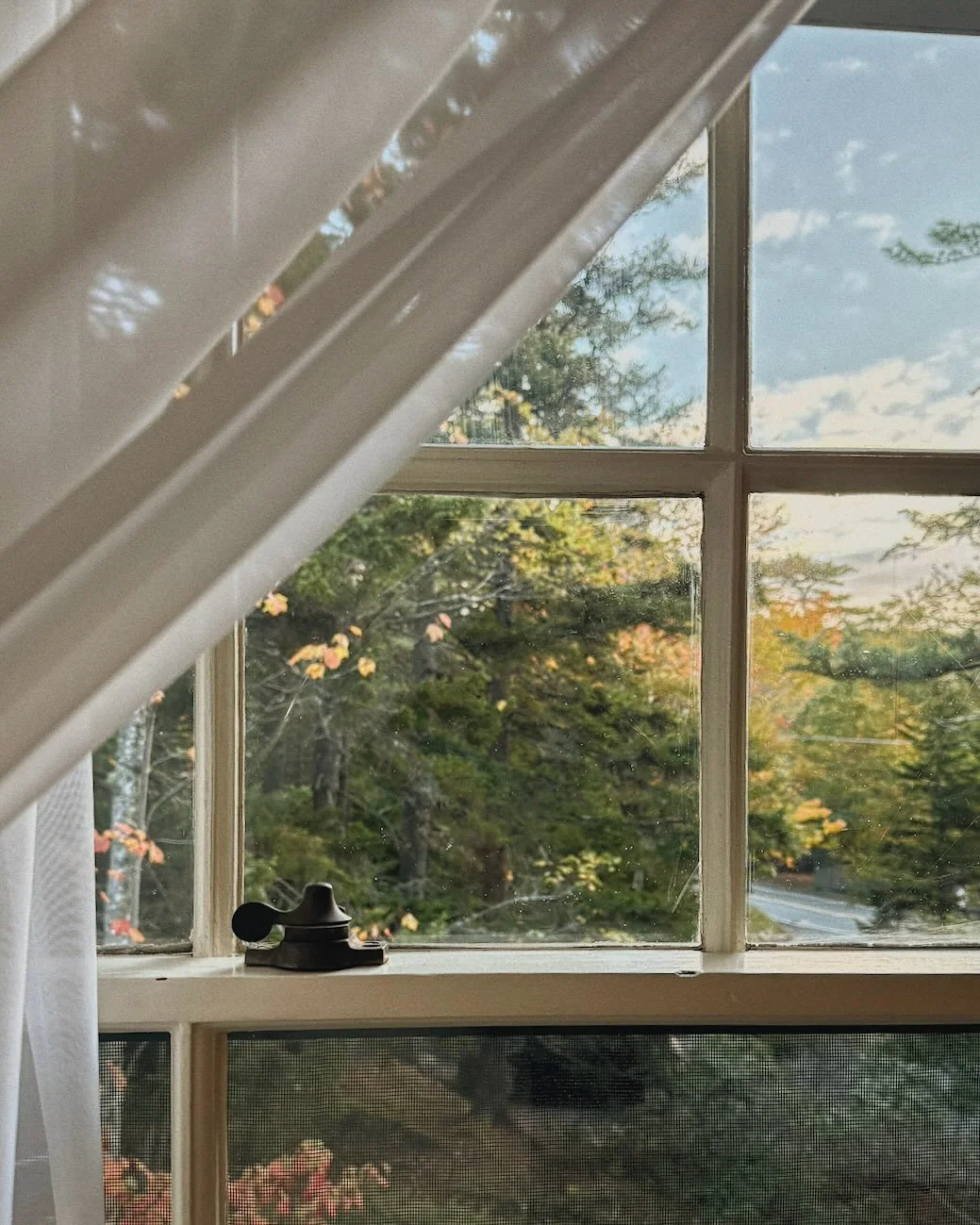 Somewhere in Maine.
October 2025