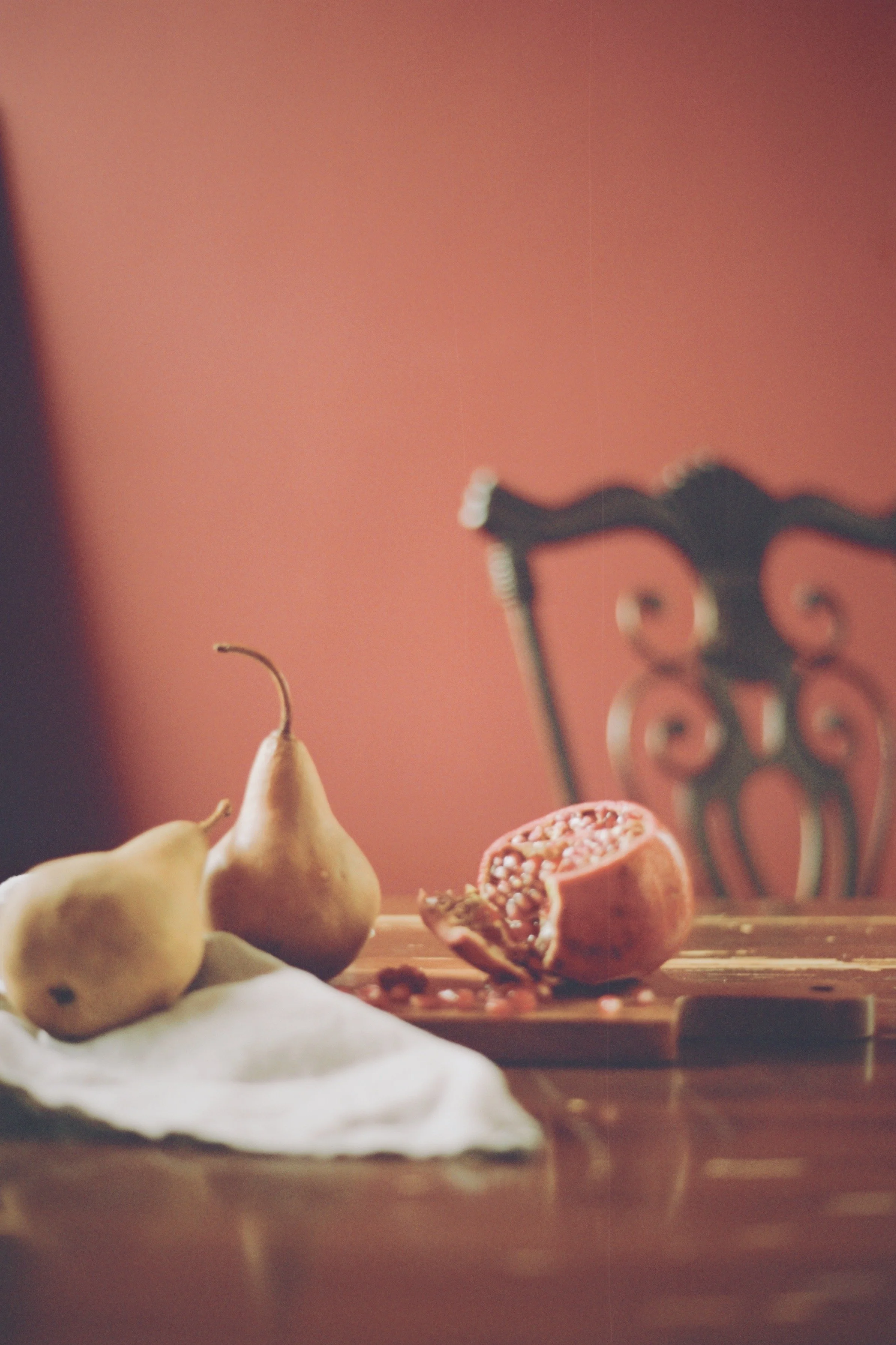 Fruit Still Life, A Found Roll of Film