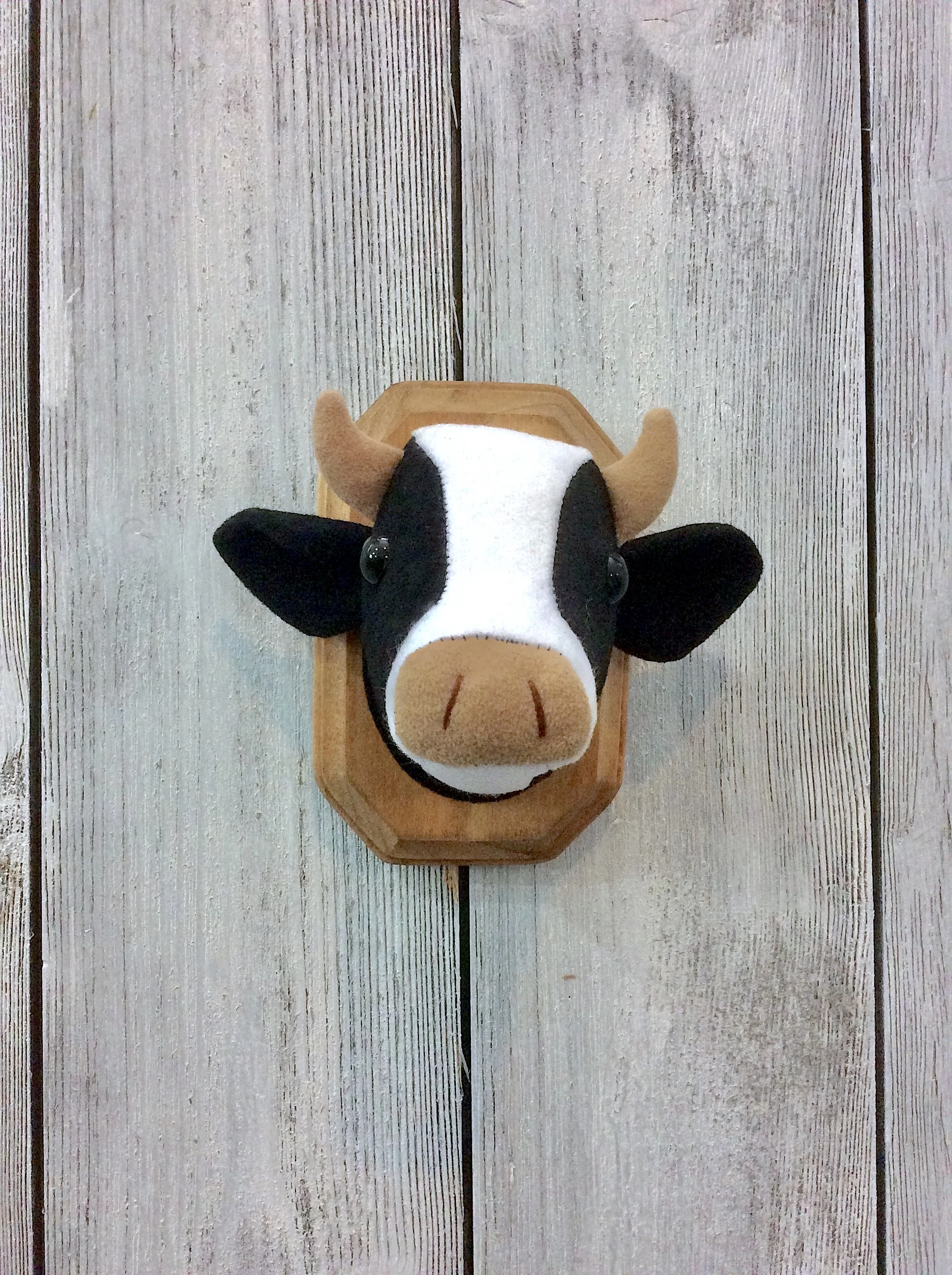 cow_front.jpg