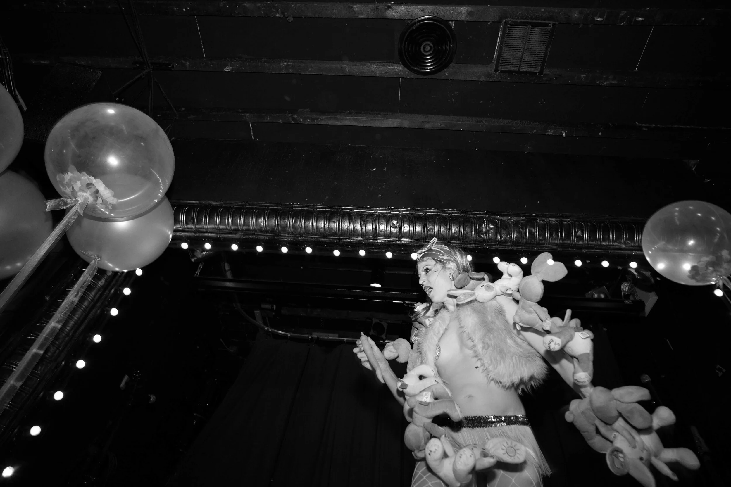 L1003000.jpg